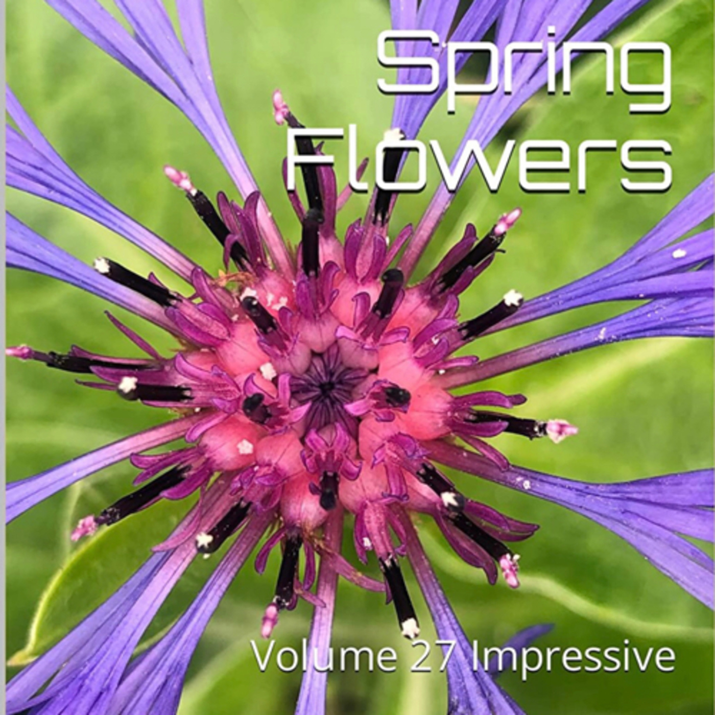 Spring Flowers Volume 27 Impressive by Daniel Lucas episode artwork