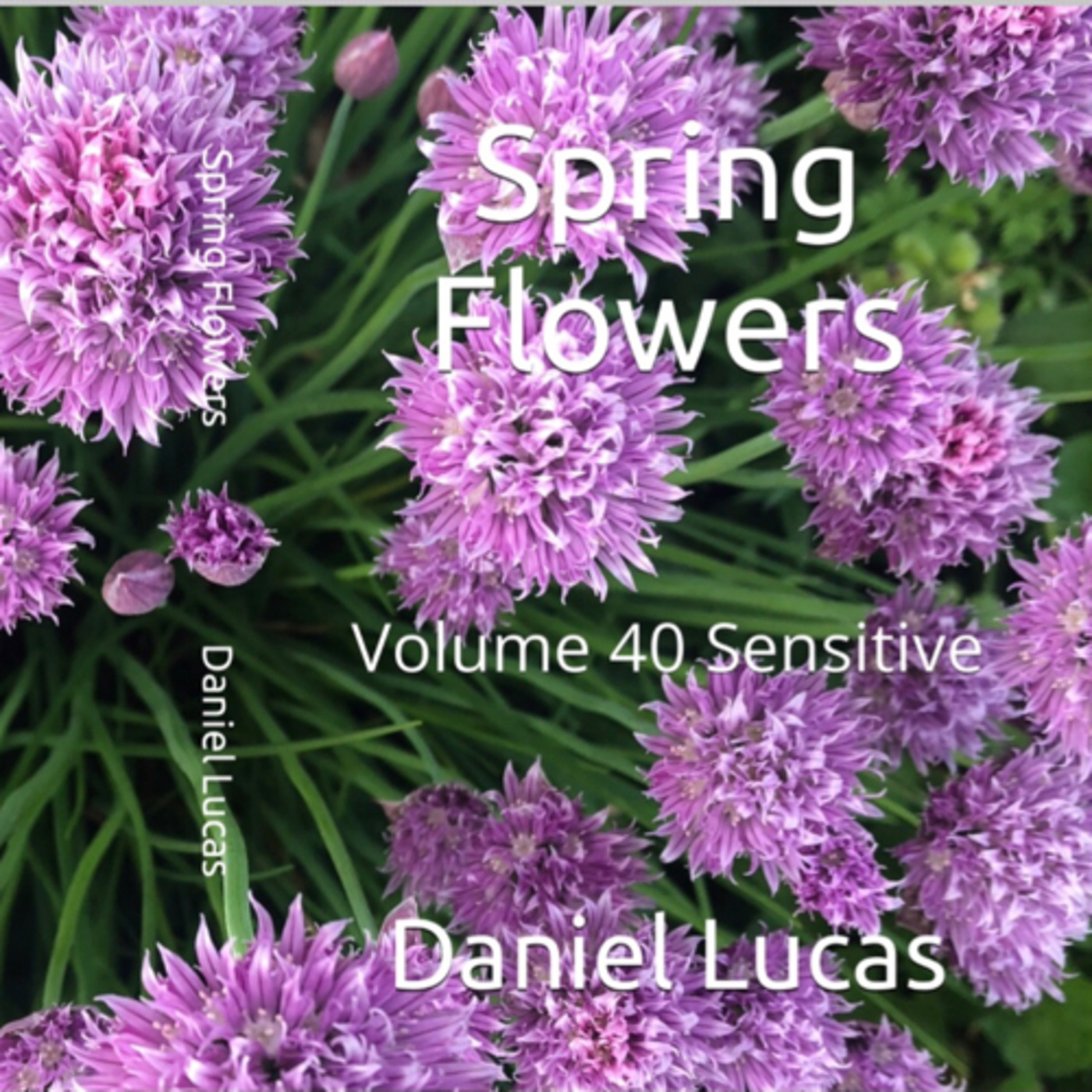 Spring Flowers Volume 40 Sensitive by Daniel Lucas episode artwork