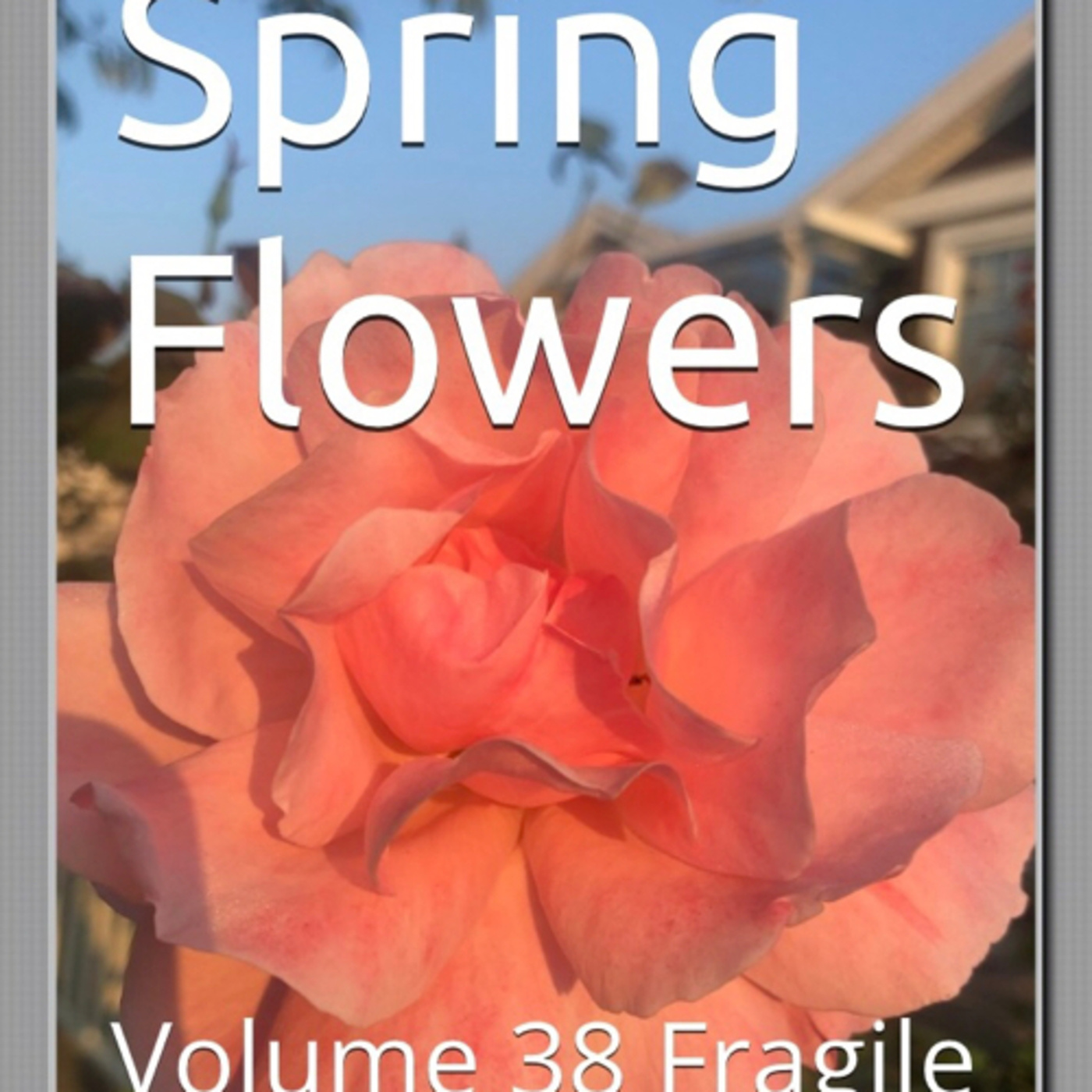 Spring Flowers Volume 38 Fragile by Daniel Lucas episode artwork