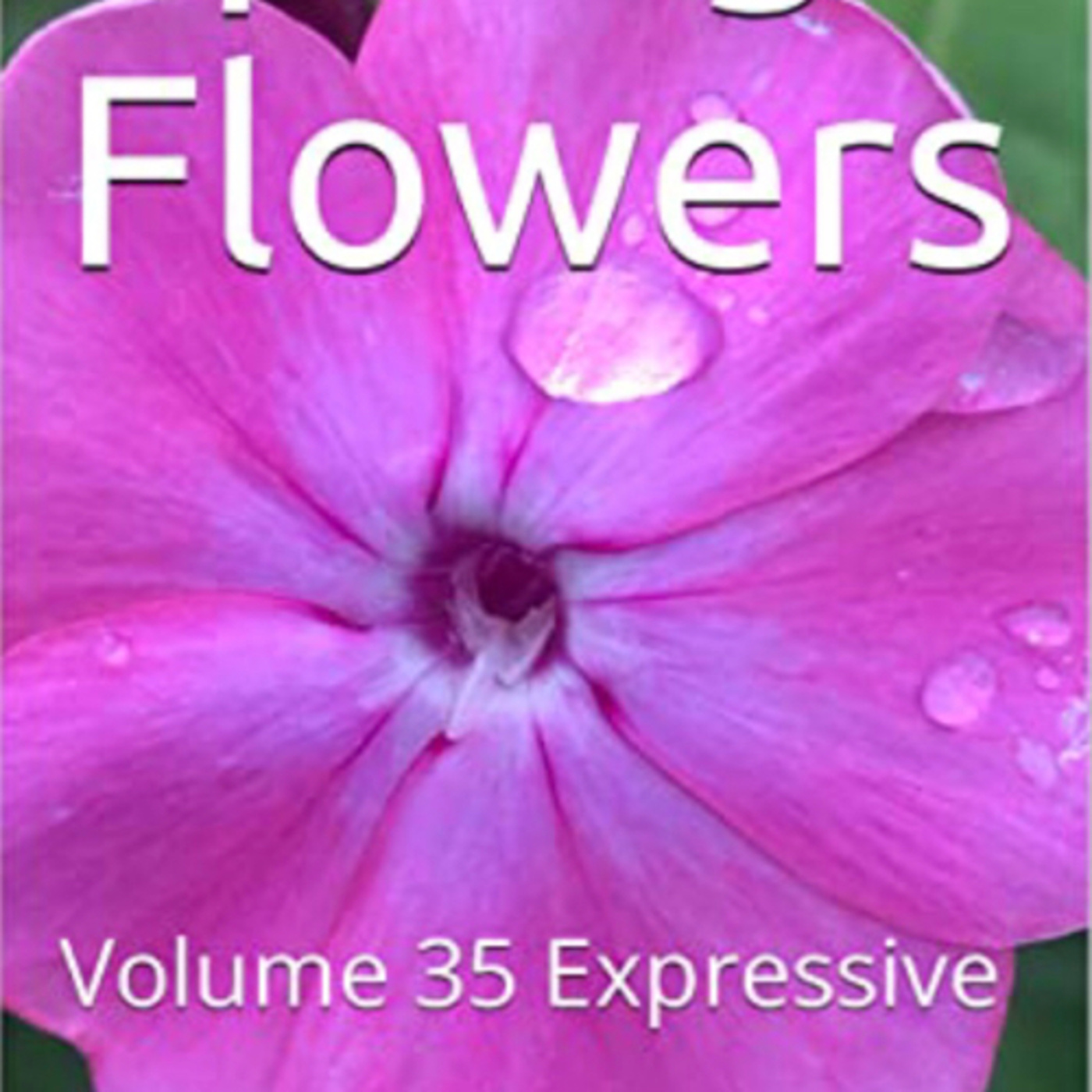 Spring Flowers Volume 35 Expressive by Daniel Lucas episode artwork