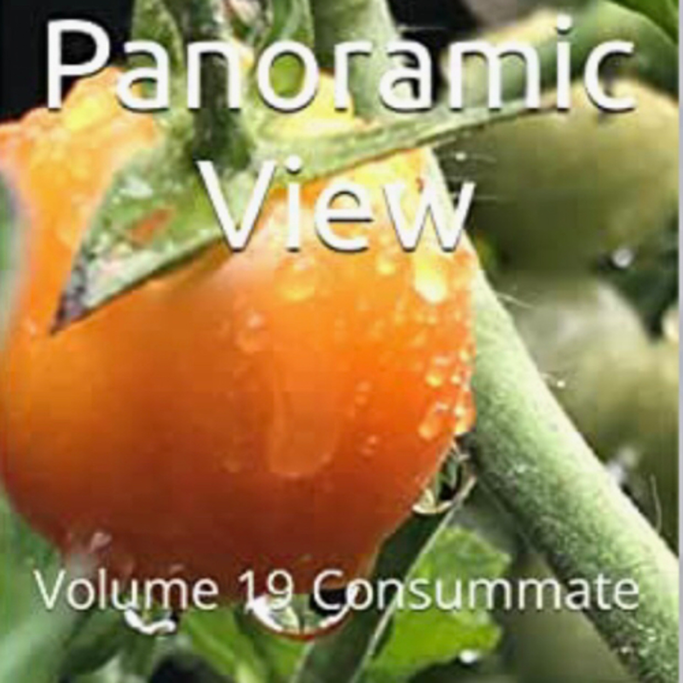 Panoramic View Volume 19 Consummate by Daniel Lucas episode artwork
