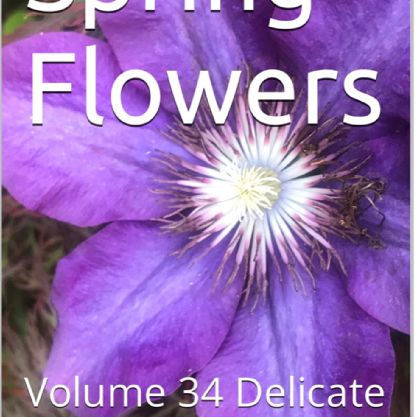 Spring Flowers Volume 34 Delicate by Daniel Lucas episode artwork