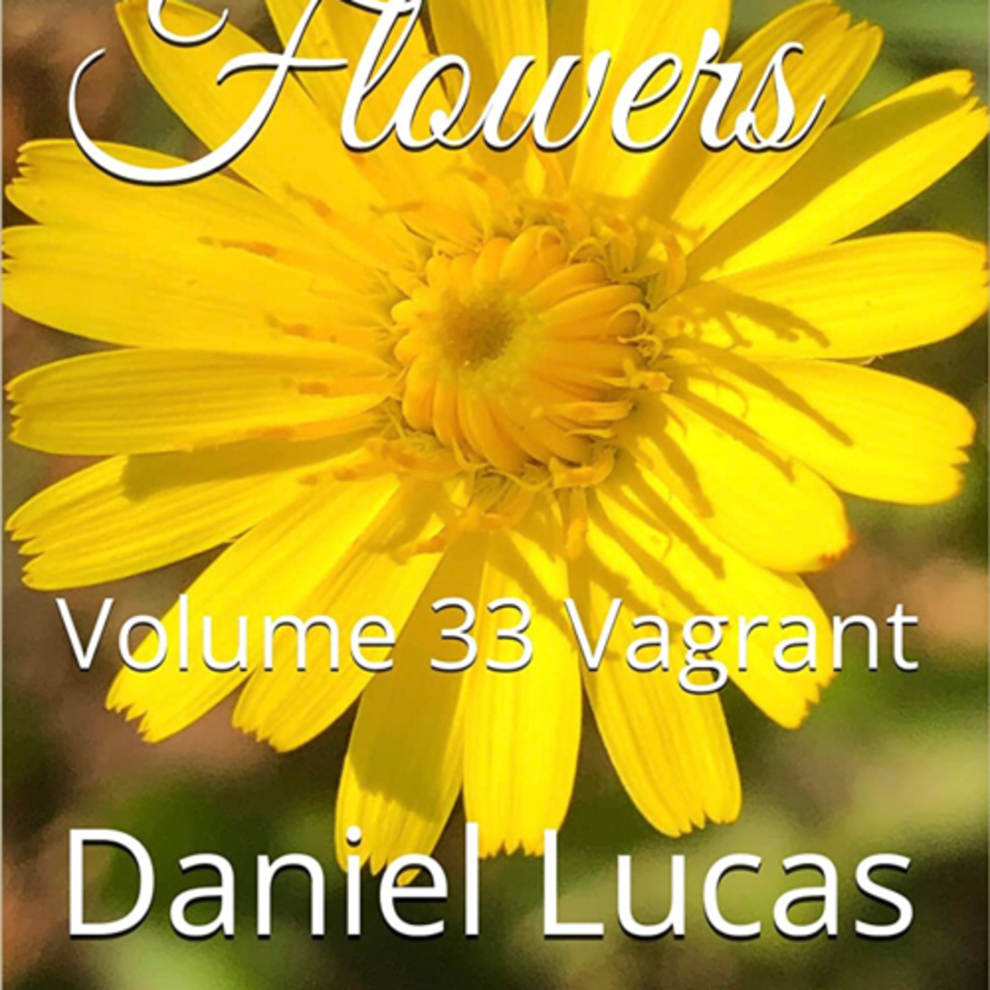 Spring Flowers Volume 33 Vagrant by Daniel Lucas episode artwork