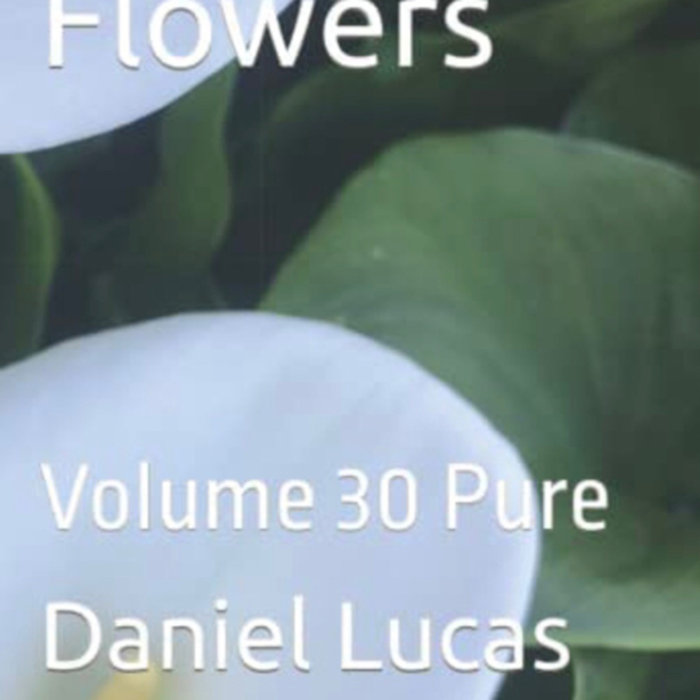 Spring Flowers Volume 30 Pure by Daniel Lucas episode artwork