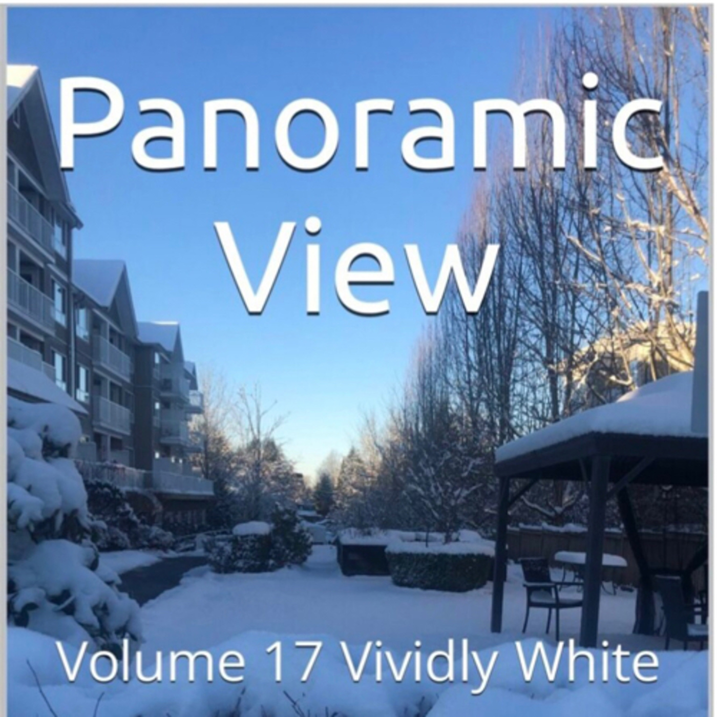 Panoramic View Volume 17 Vividly White by Daniel Lucas episode artwork