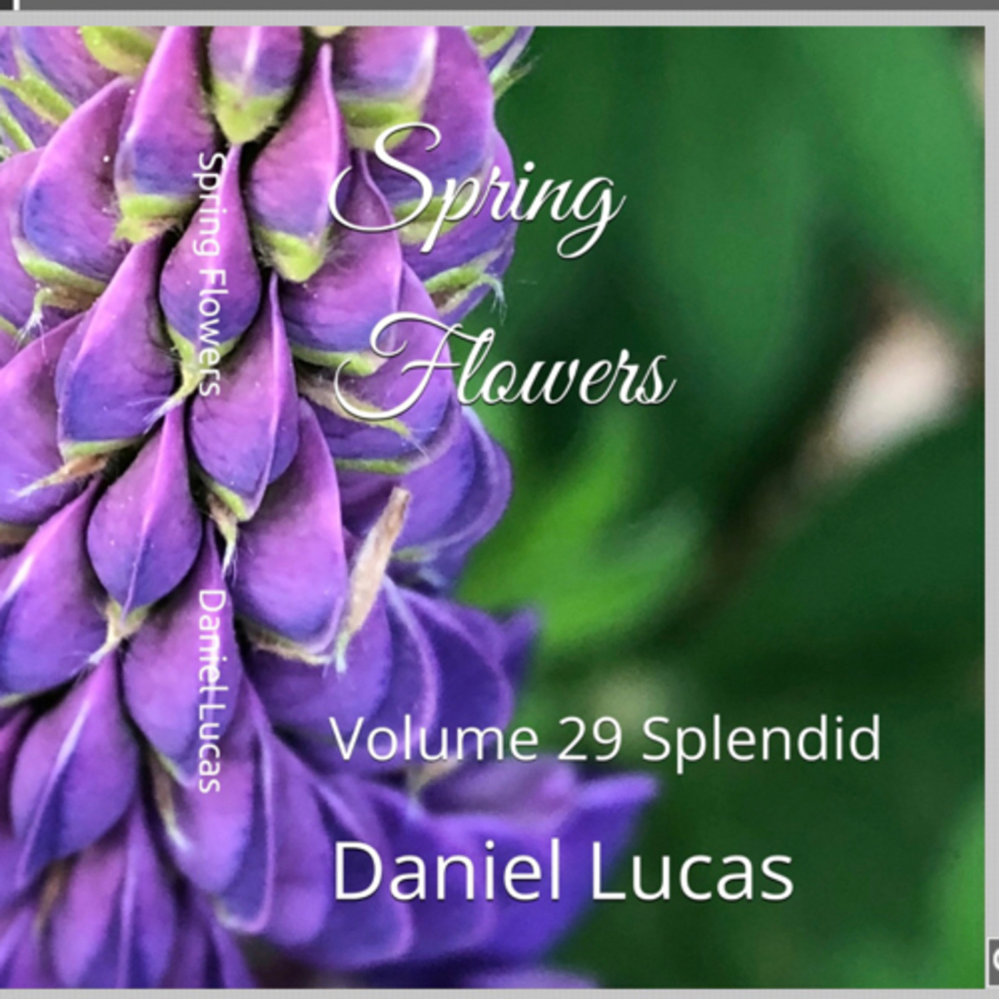 Spring Flowers Volume 29 Splendid by Daniel Lucas episode artwork