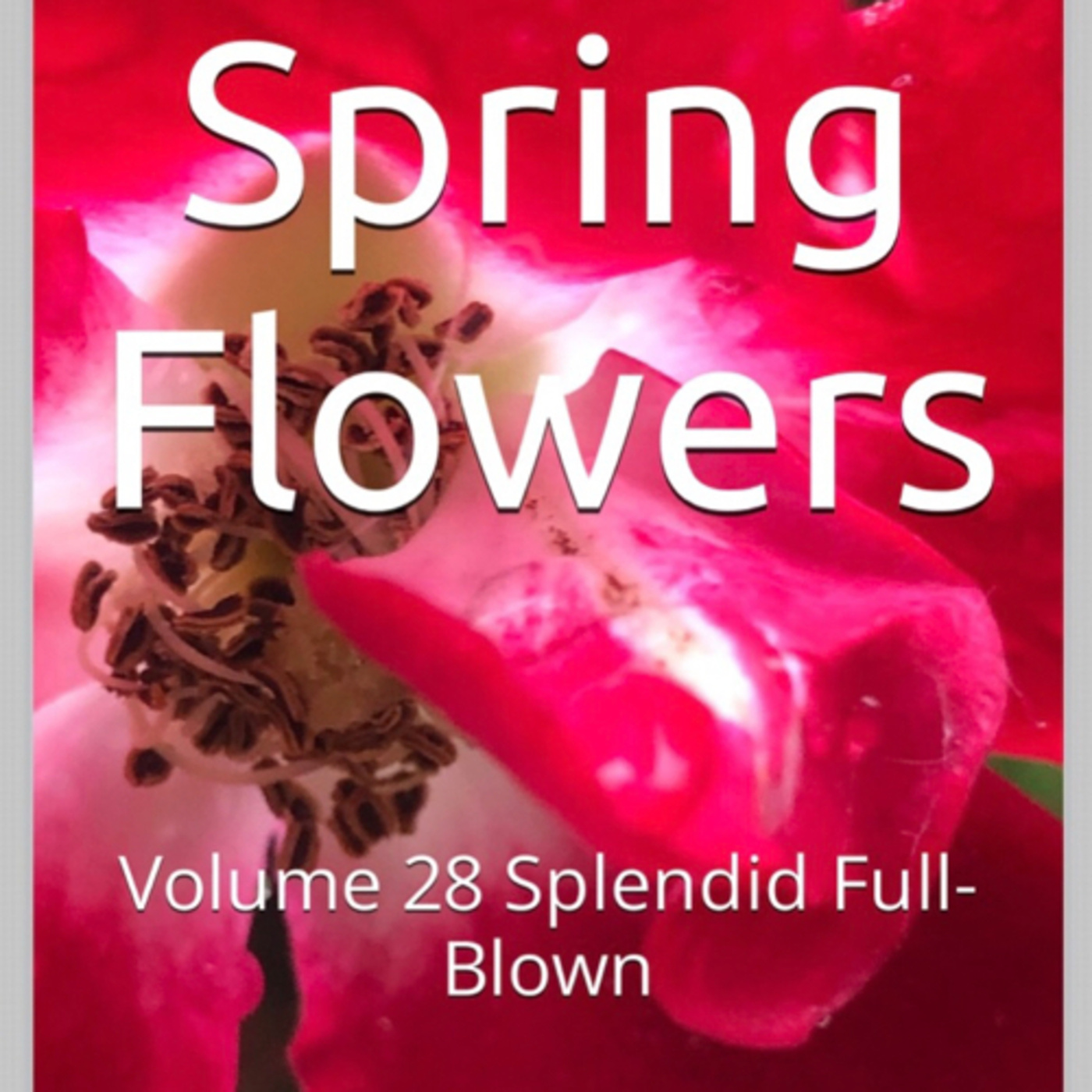 Spring Flowers Volume 28 Splendid Full-Blown by Daniel Lucas episode artwork