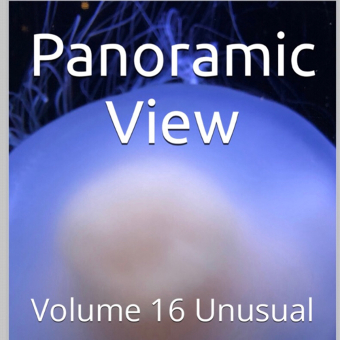 Panoramic View Volume 16 Unusual by Daniel Lucas episode artwork