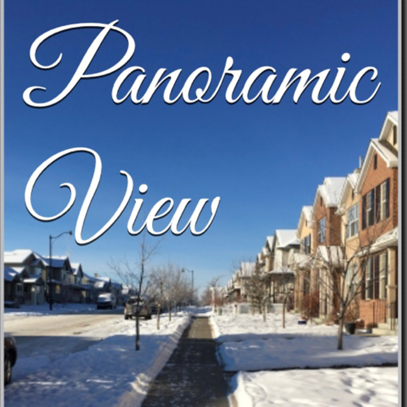 Panoramic View Volume 15 Boldly White by Daniel Lucas episode artwork