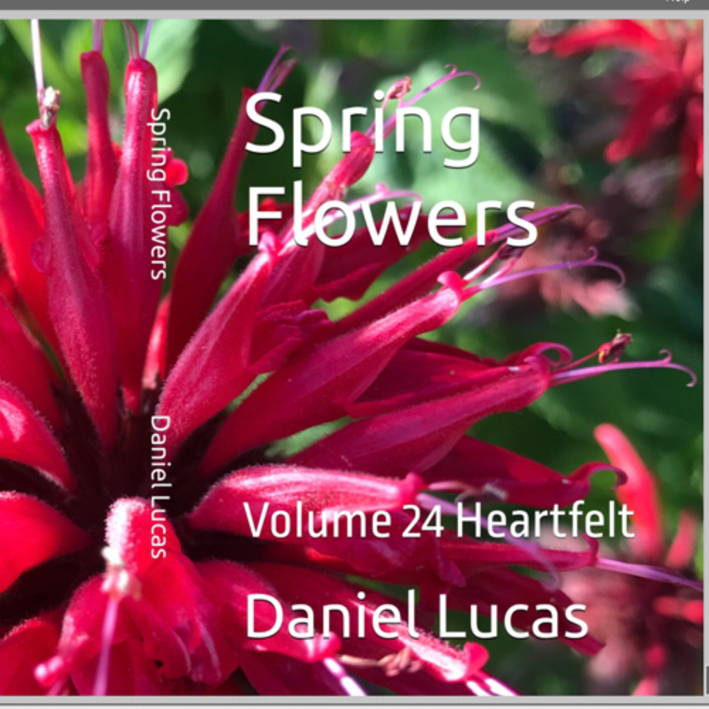 Spring Flowers Volume 24 Heartfelt by Daniel Lucas episode artwork