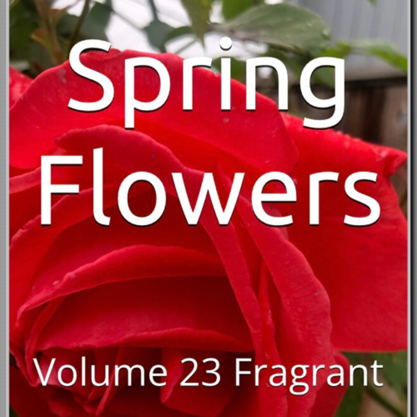 Spring Flowers Volume 23 Fragrant by Daniel Lucas episode artwork