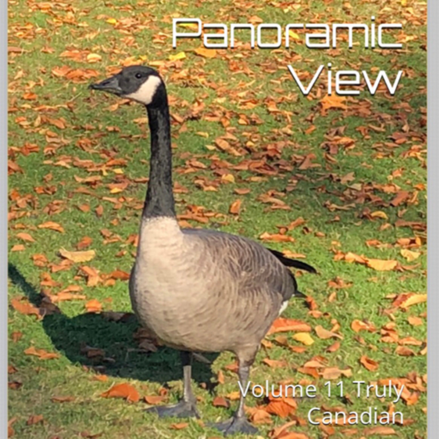 Panoramic View Volume 11 Truly Canadian by Daniel Lucas episode artwork