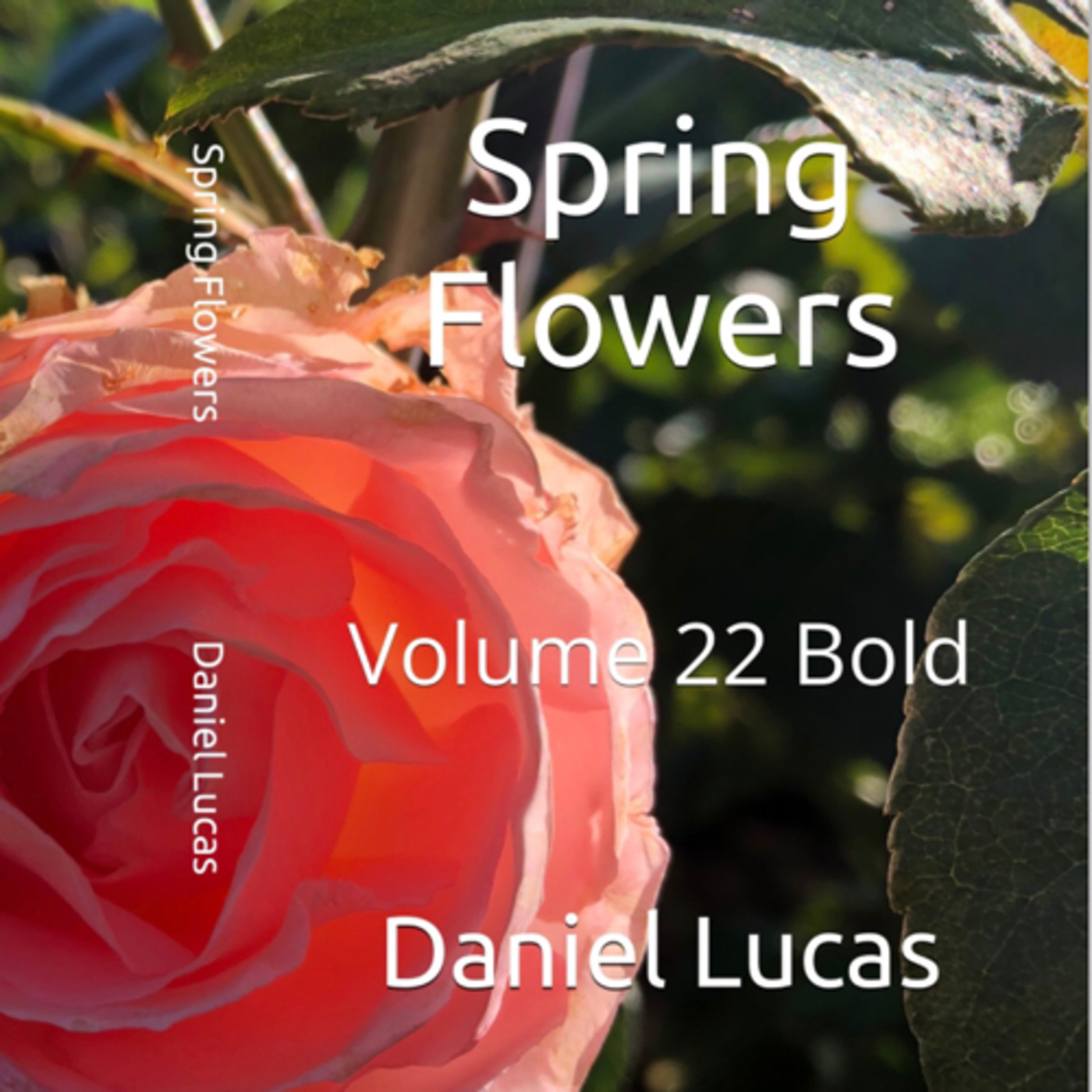Spring Flowers Volume 22 Bold by Daniel Lucas episode artwork