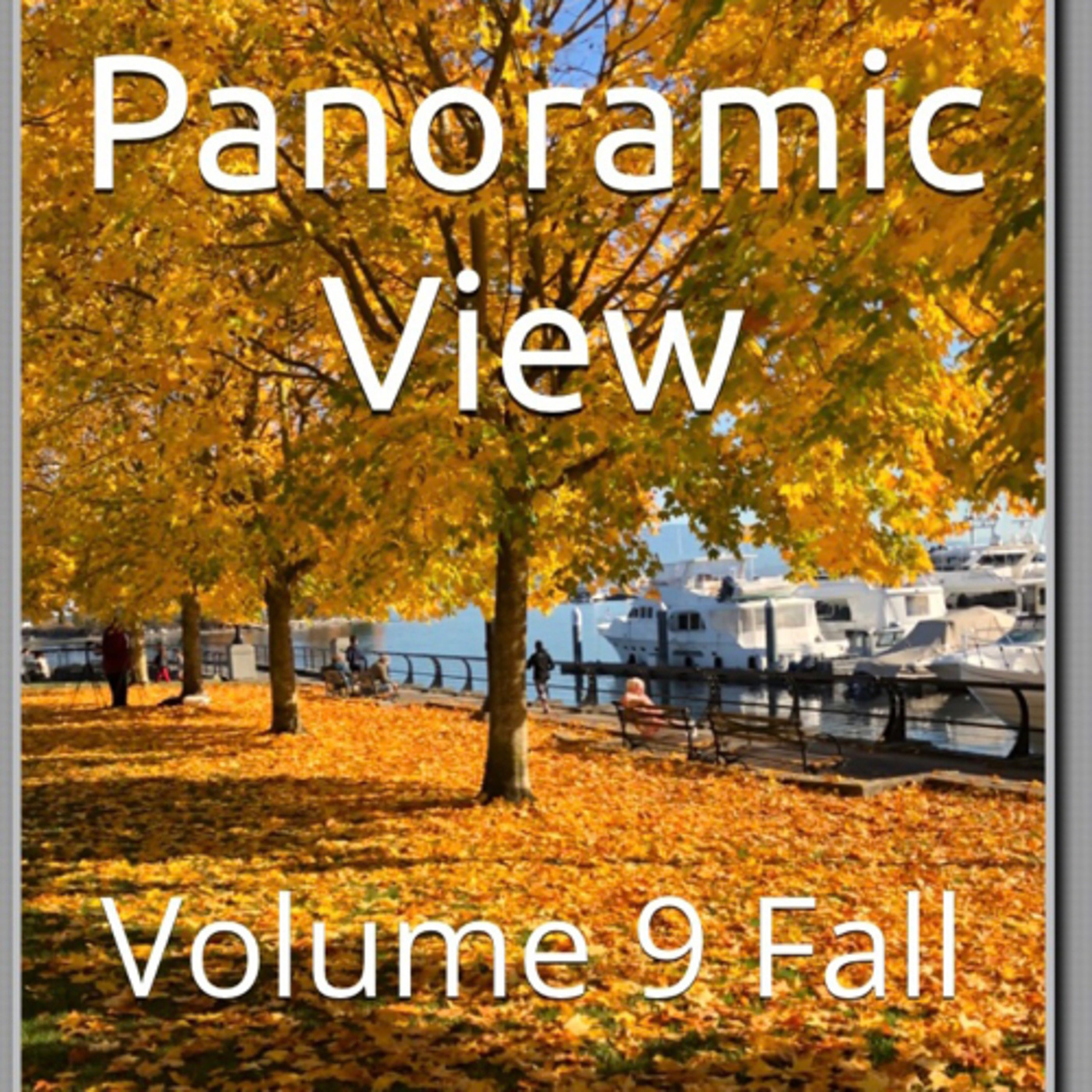 Panoramic View Volume 9 Fall by Daniel Lucas. episode artwork