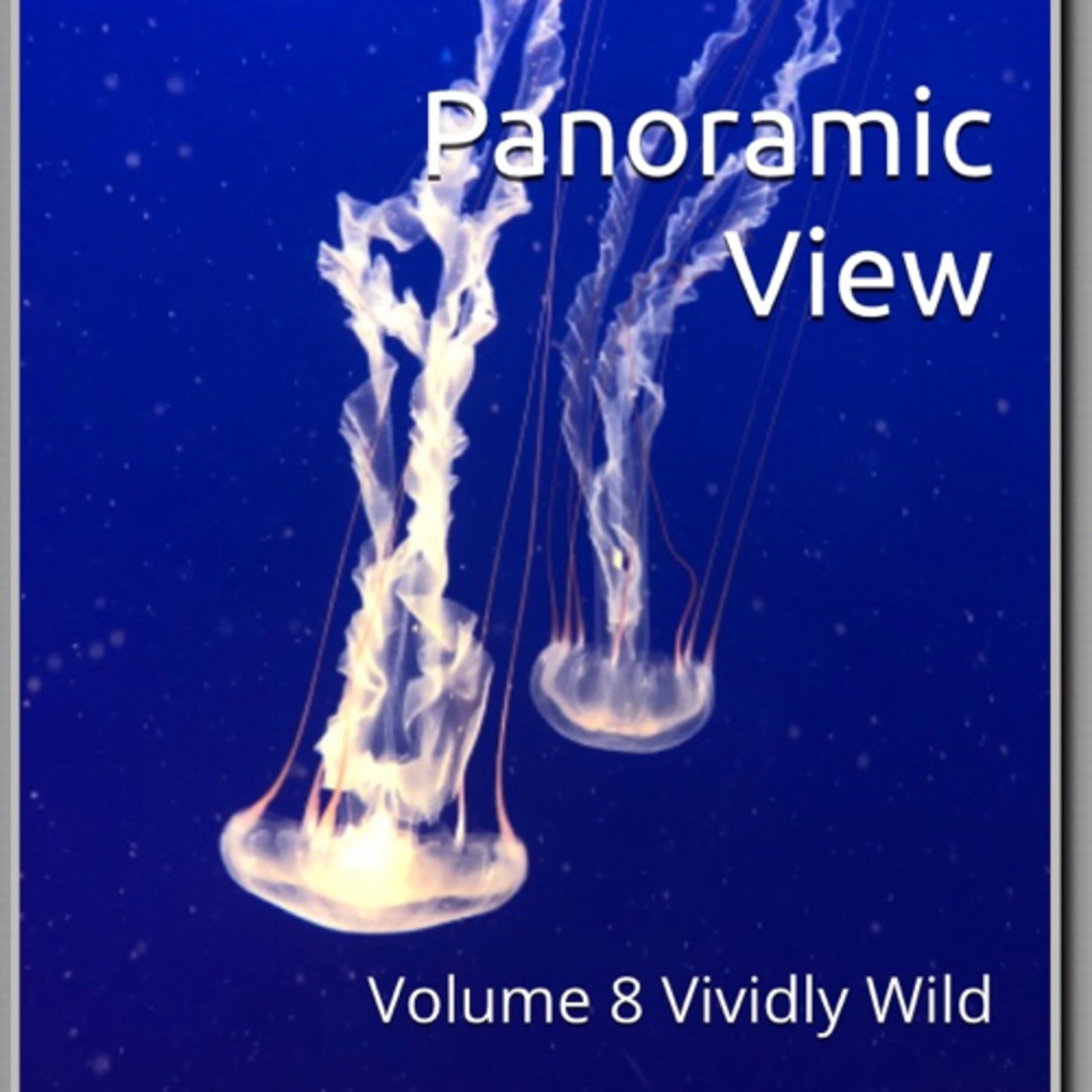 Panoramic View Volume 8 Vividly Wild by Daniel Lucas episode artwork