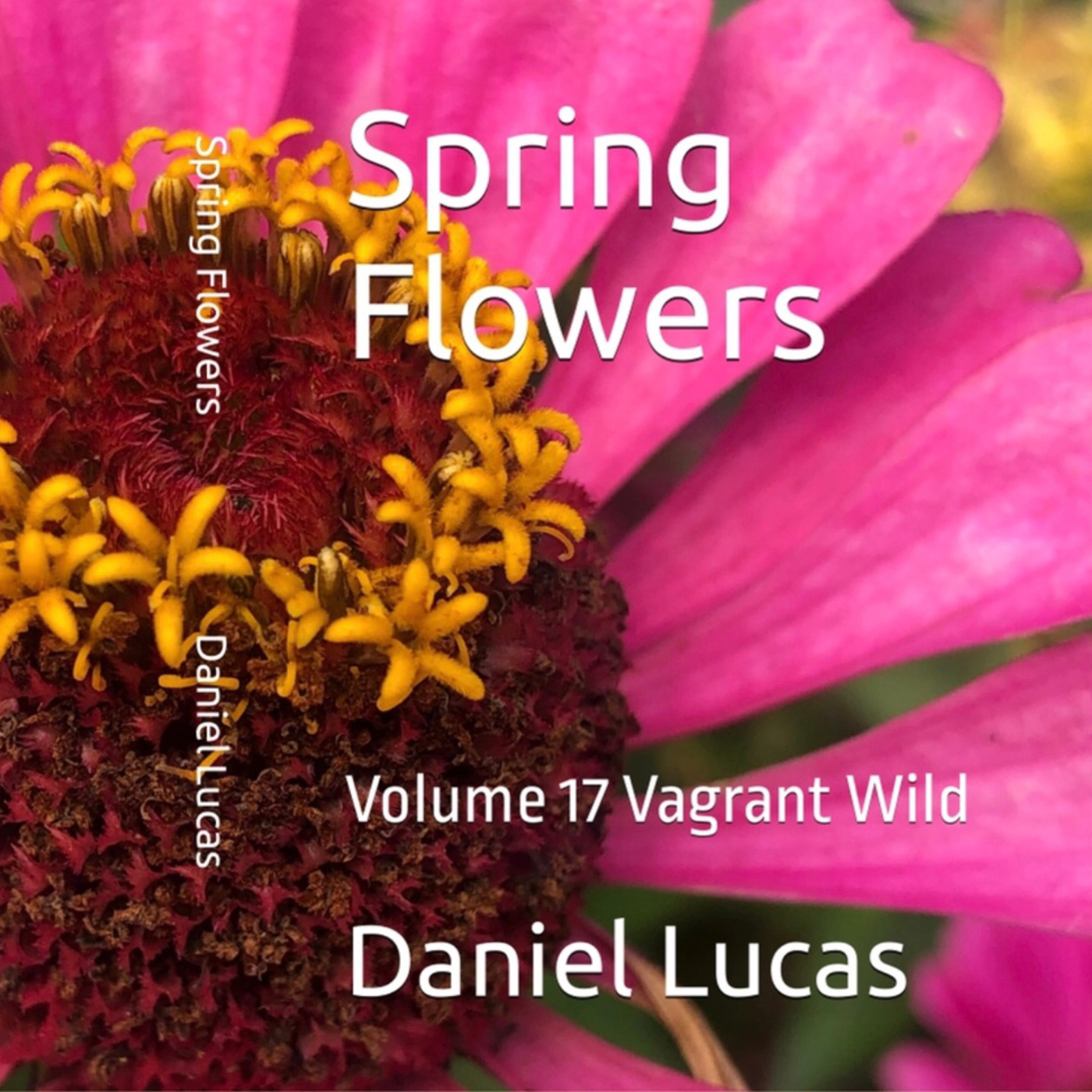 Spring Flowers Volume 17 Vagrant Wild by Daniel Lucas episode artwork