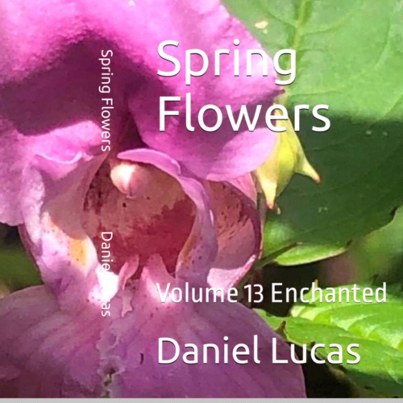 Spring Flowers Volume 13 Enchanted by Daniel Lucas episode artwork
