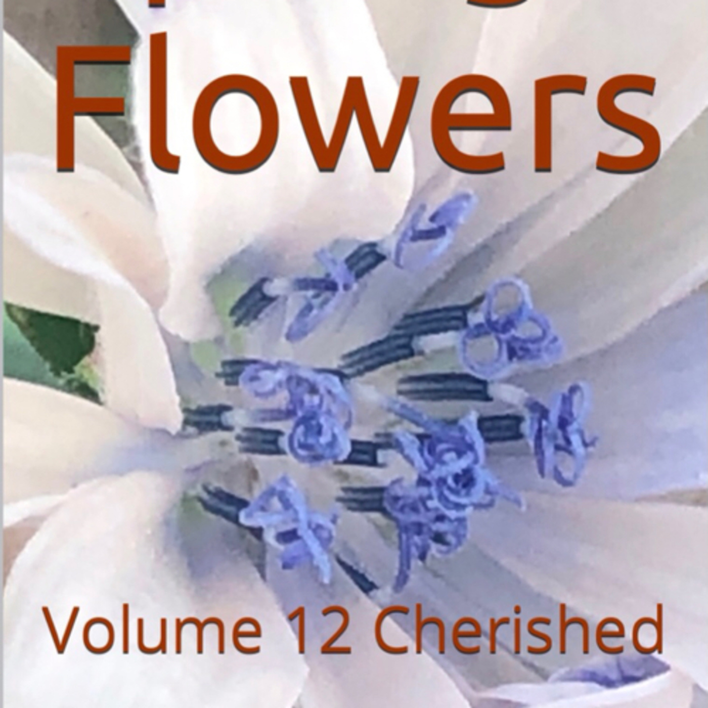 Spring Flowers Volume 12 Cherished by Daniel Lucas episode artwork