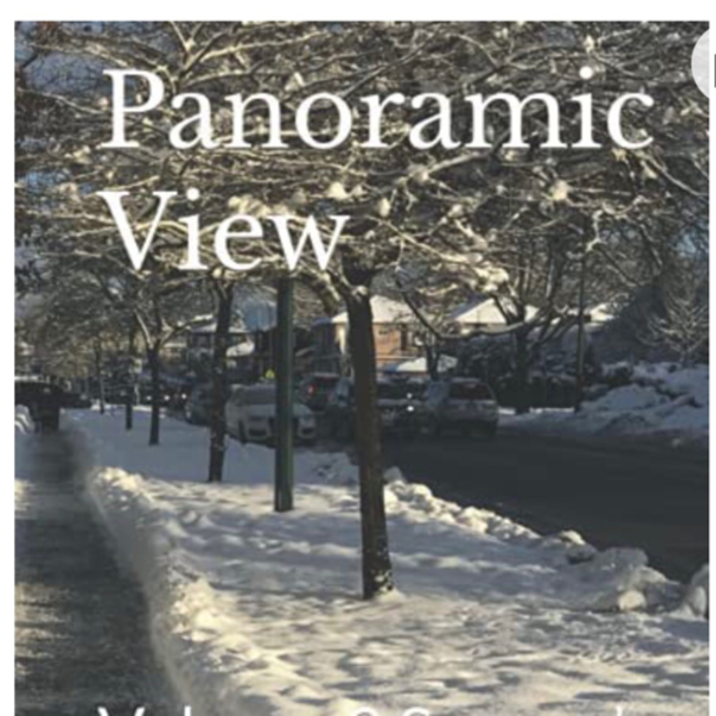 Panasonic View Volume 3 Season’s by Daniel Lucas episode artwork