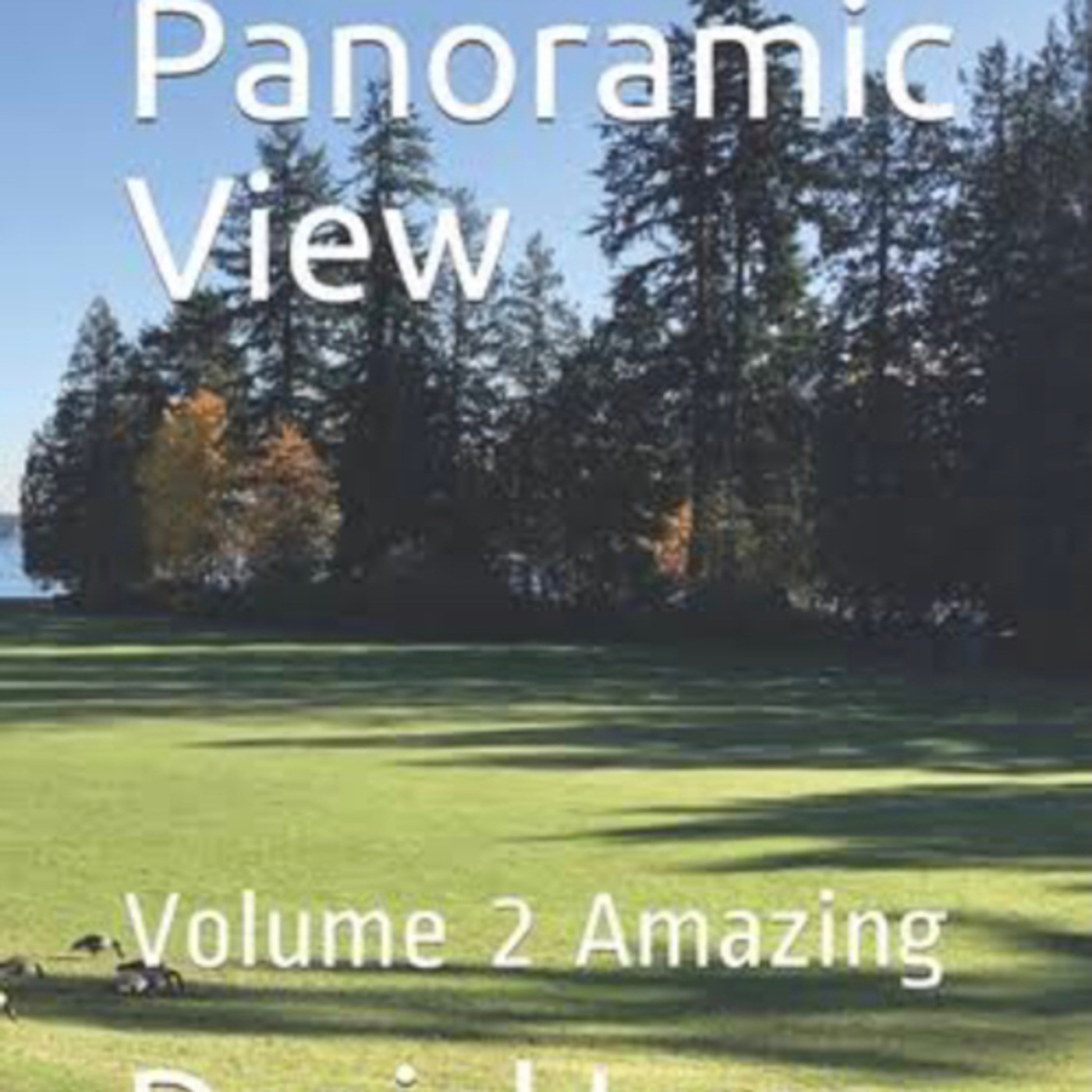 Panoramic View Volume 2 Amazing by Daniel Lucas episode artwork