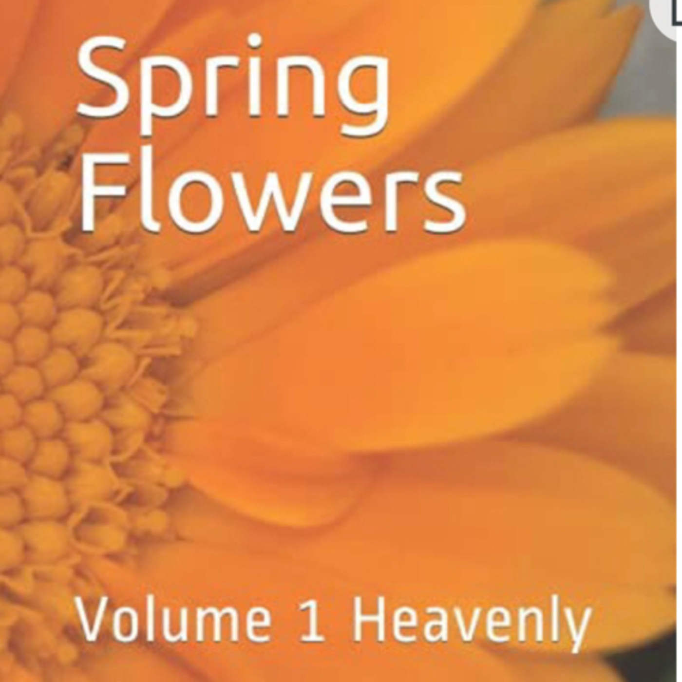 Spring Flowers Volume 1 Heavenly episode artwork