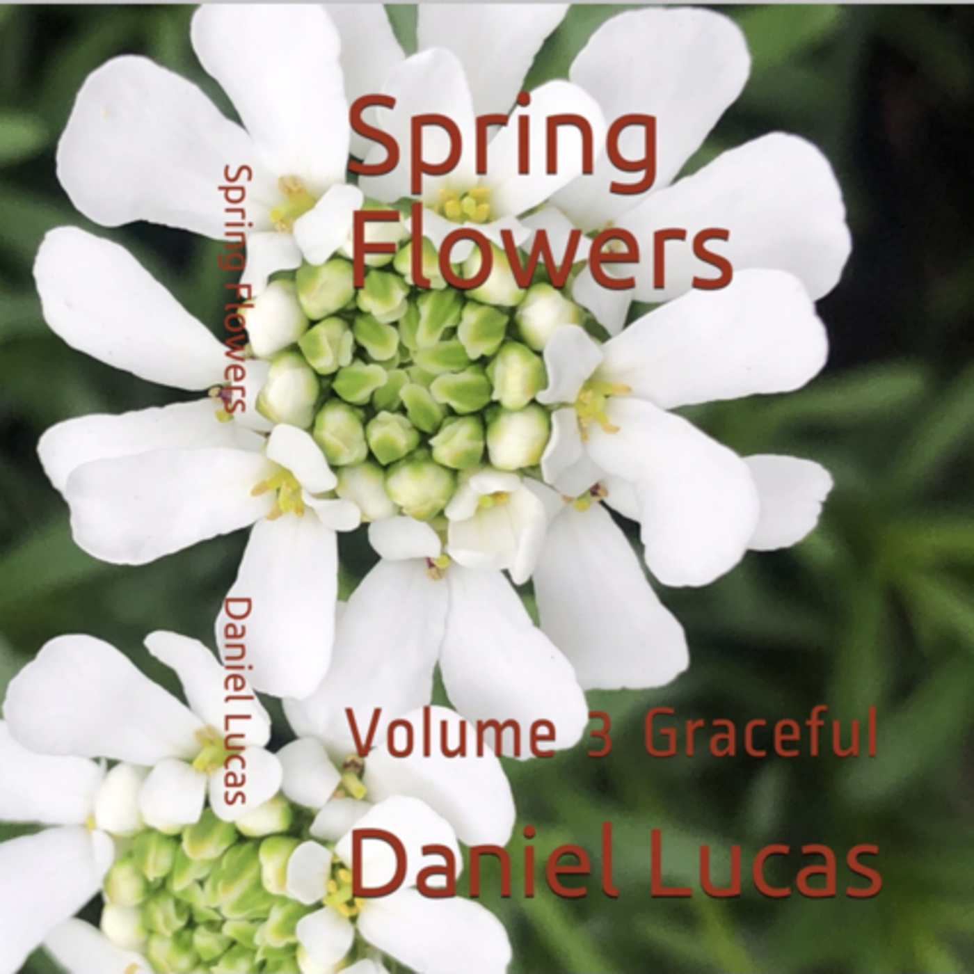 Spring Flowers Volume 3 Graceful episode artwork