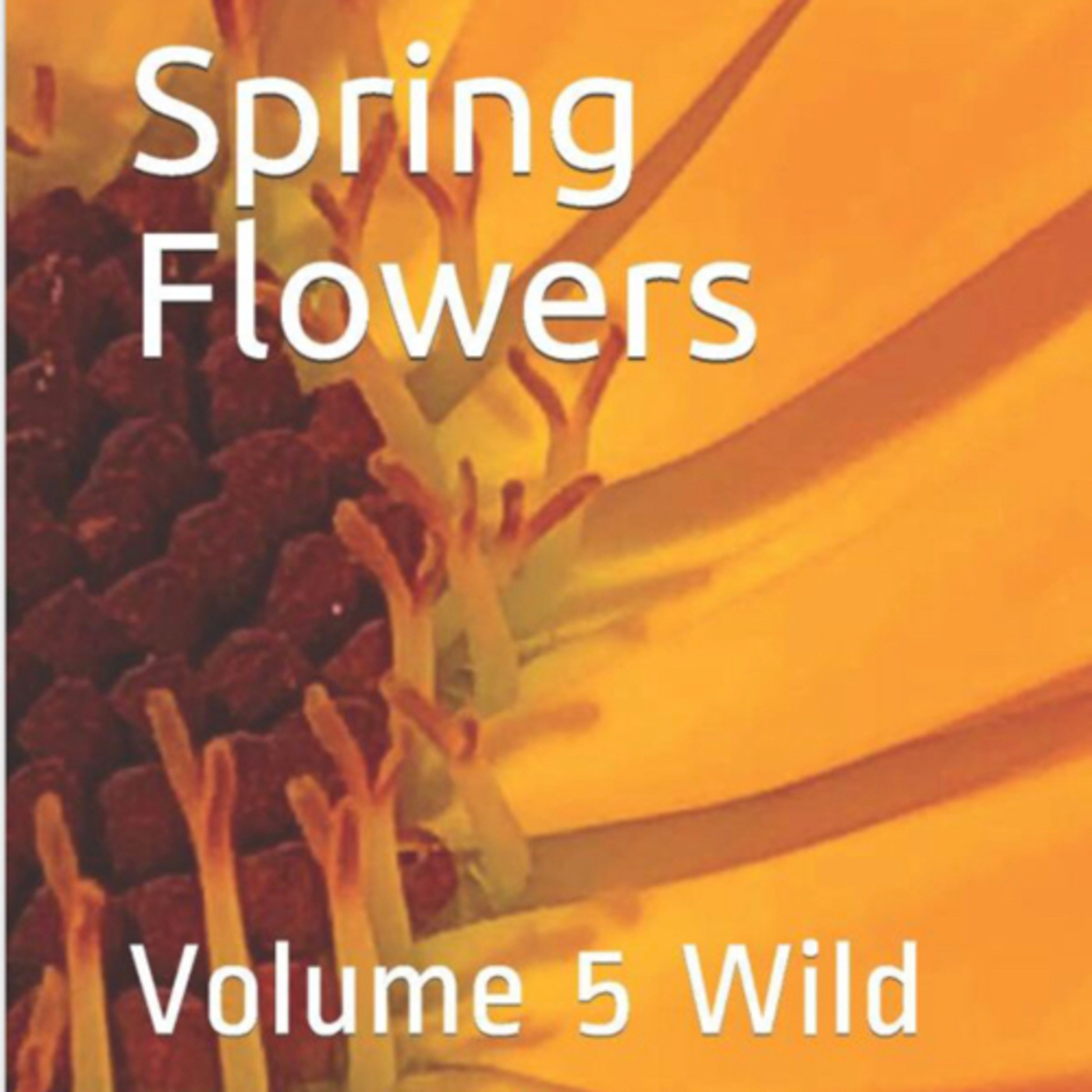 Spring Flowers by Daniel Lucas episode artwork