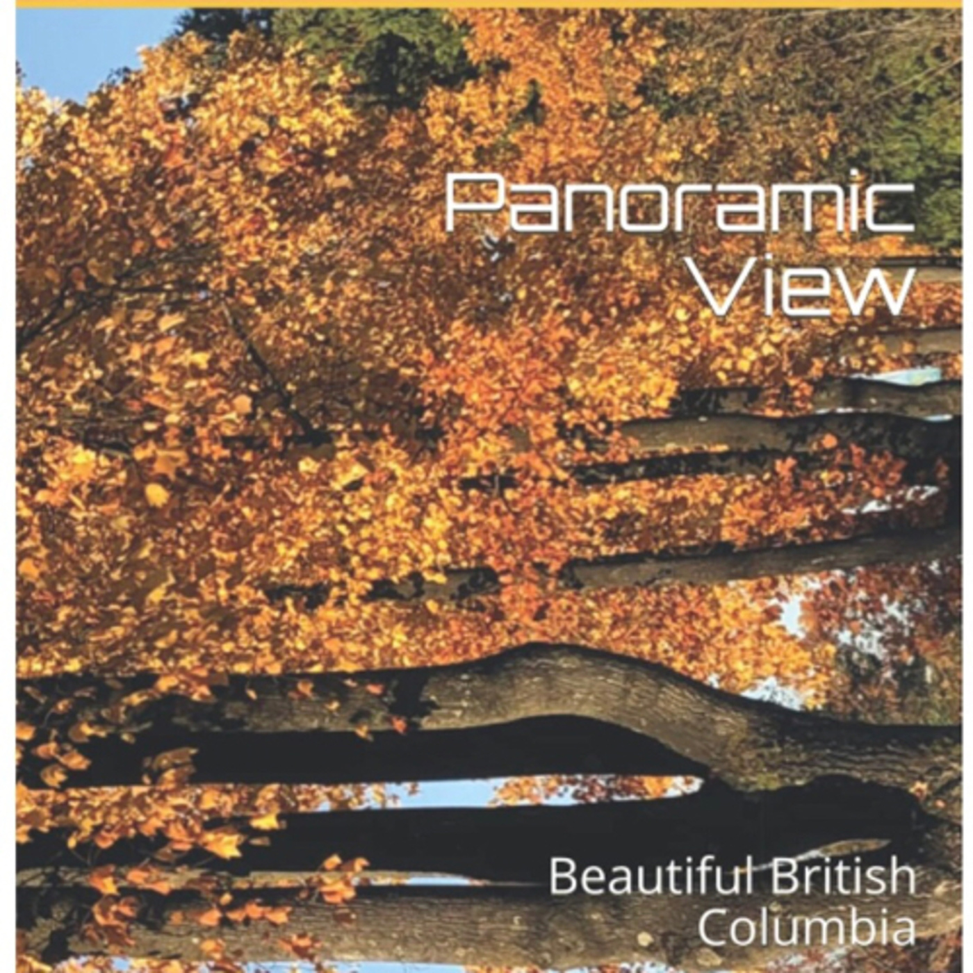 Panoramic View episode artwork