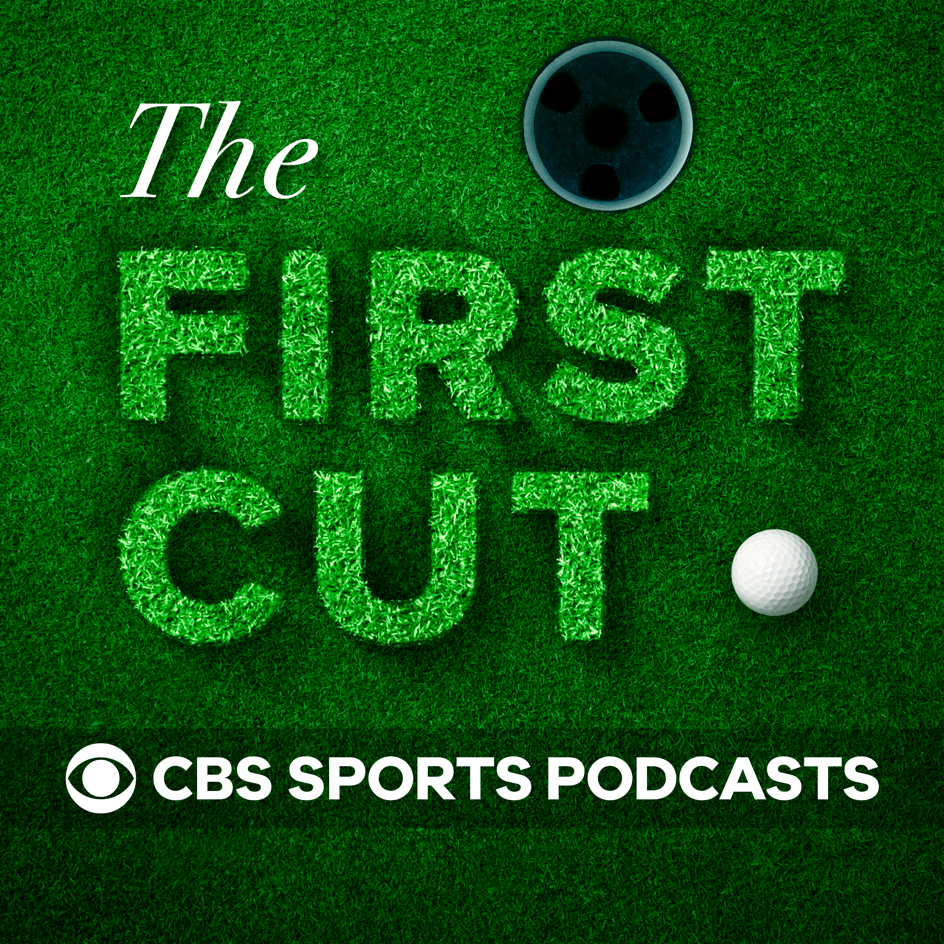 Podcast Image