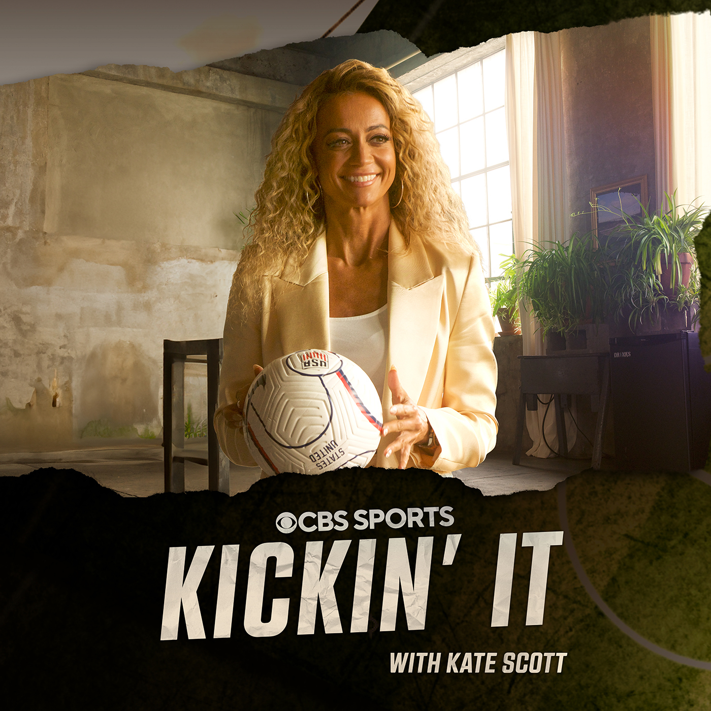 Podcast Image