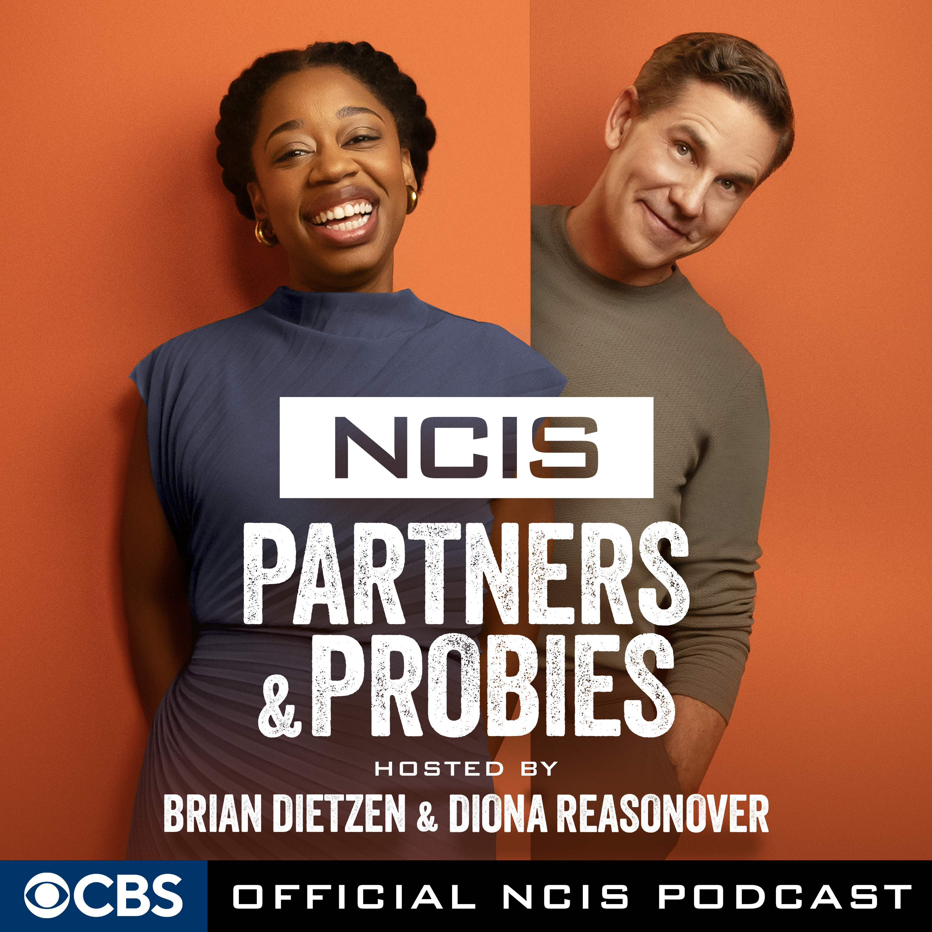 NCIS Legacy of Joe Spano  episode artwork