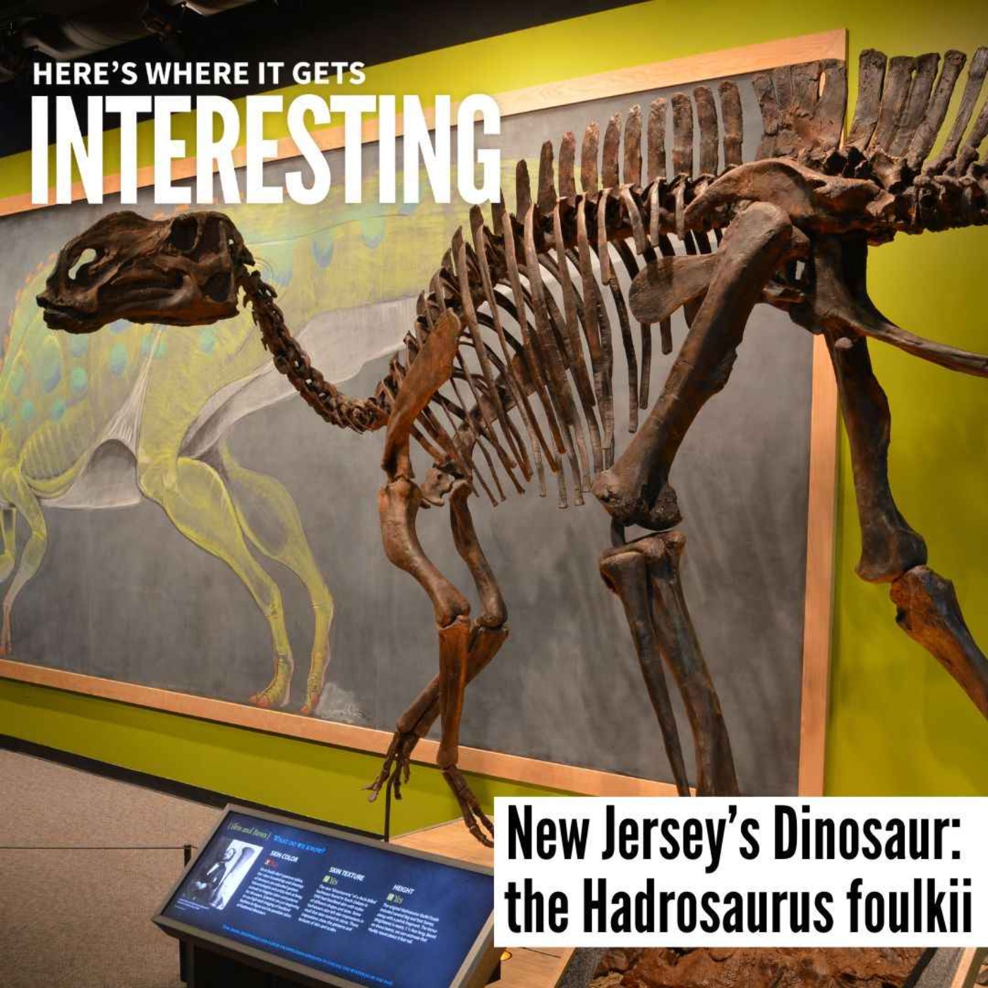 New Jersey’s Dinosaur: The Hadrosaurus foulkii episode artwork