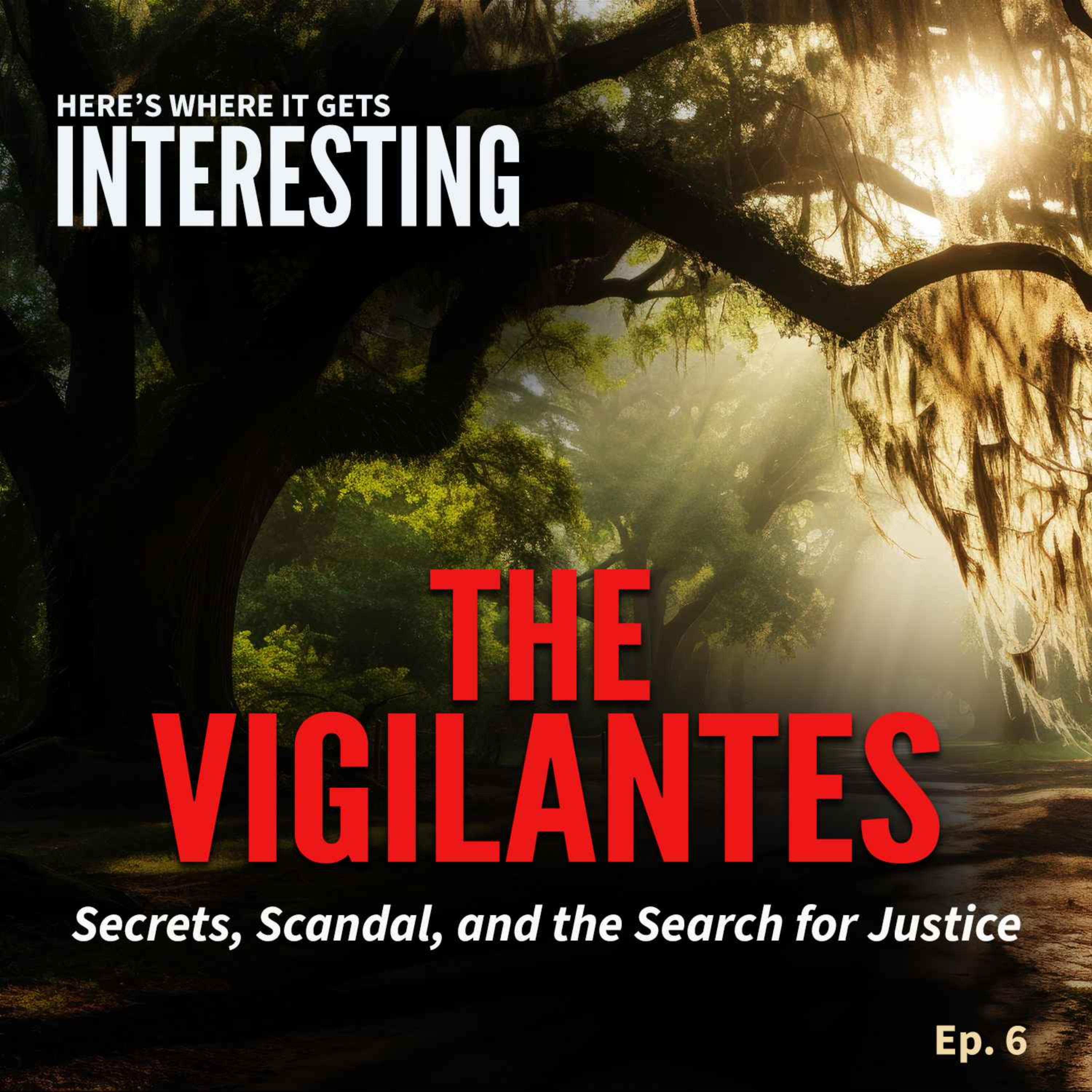 The Vigilantes, Episode 6 episode artwork