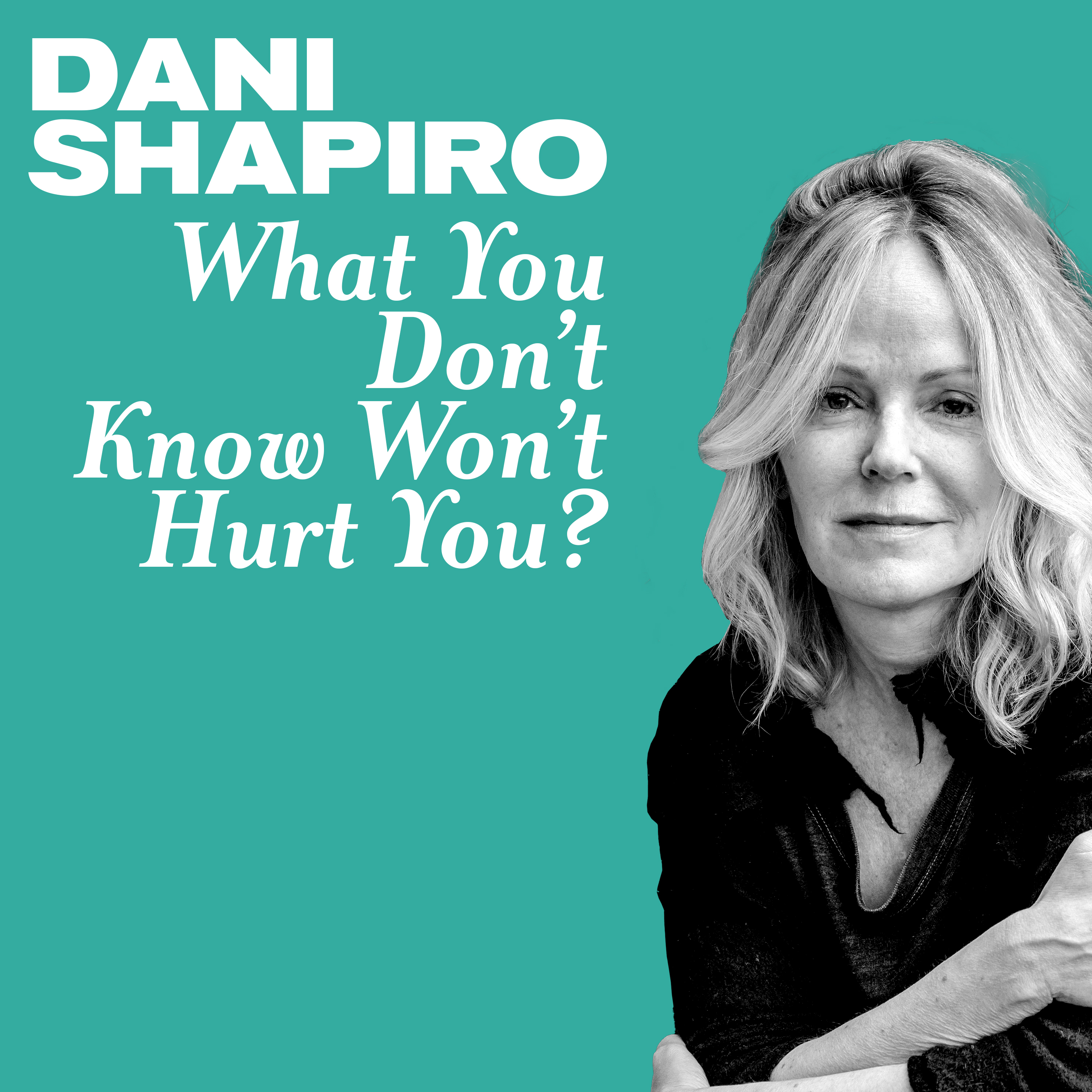 Episode Logo