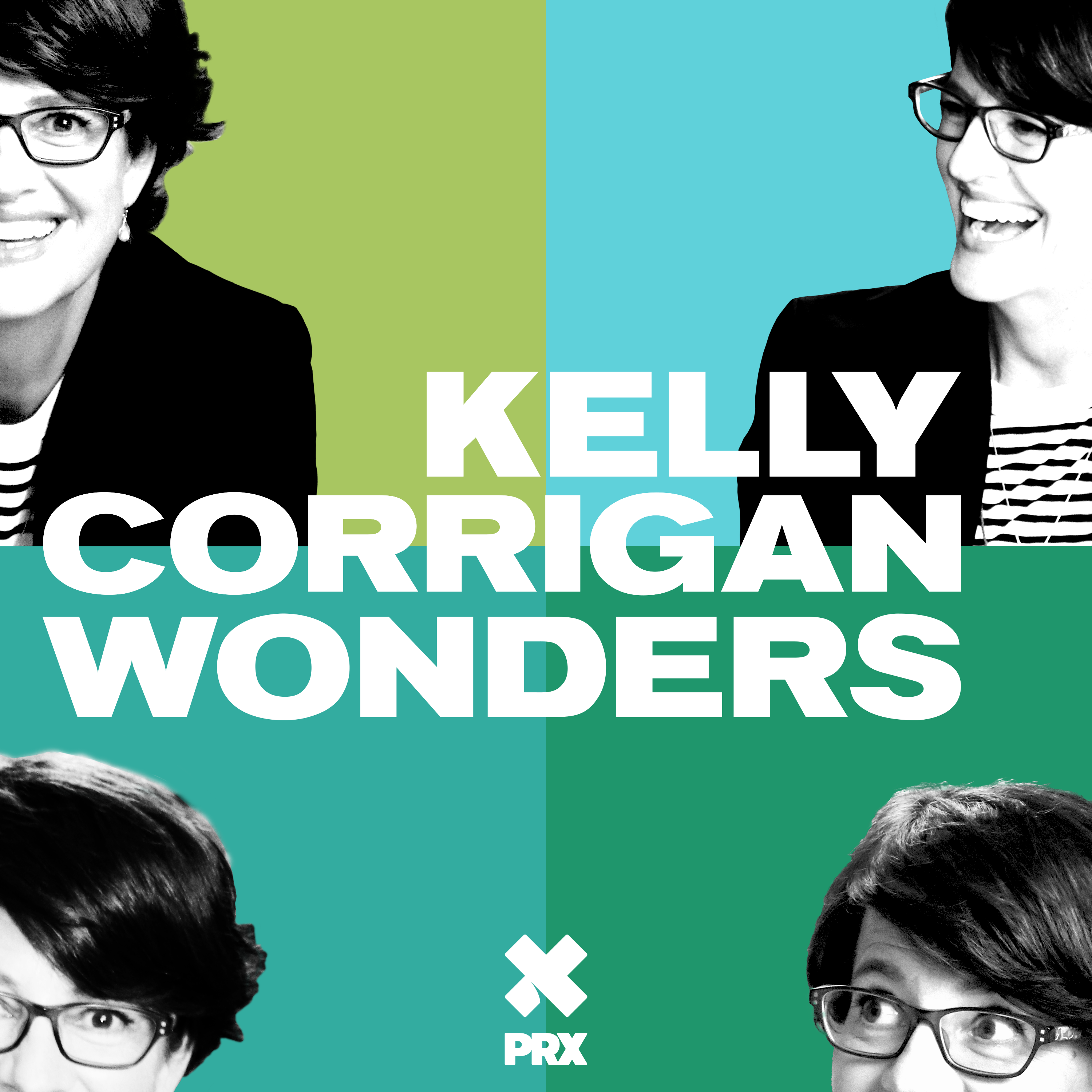 Kelly Shares an Episode of A Braver Way Podcast "How to Citizen"