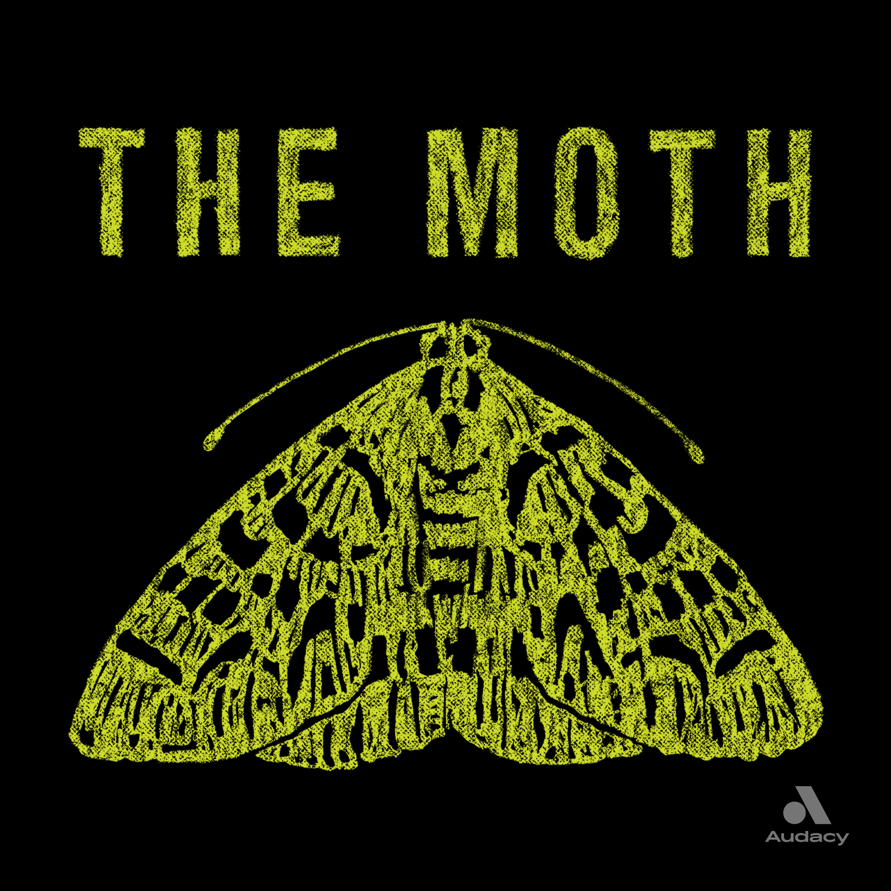 Thumbnail for "The Moth Radio Hour: All the World’s a Stage".