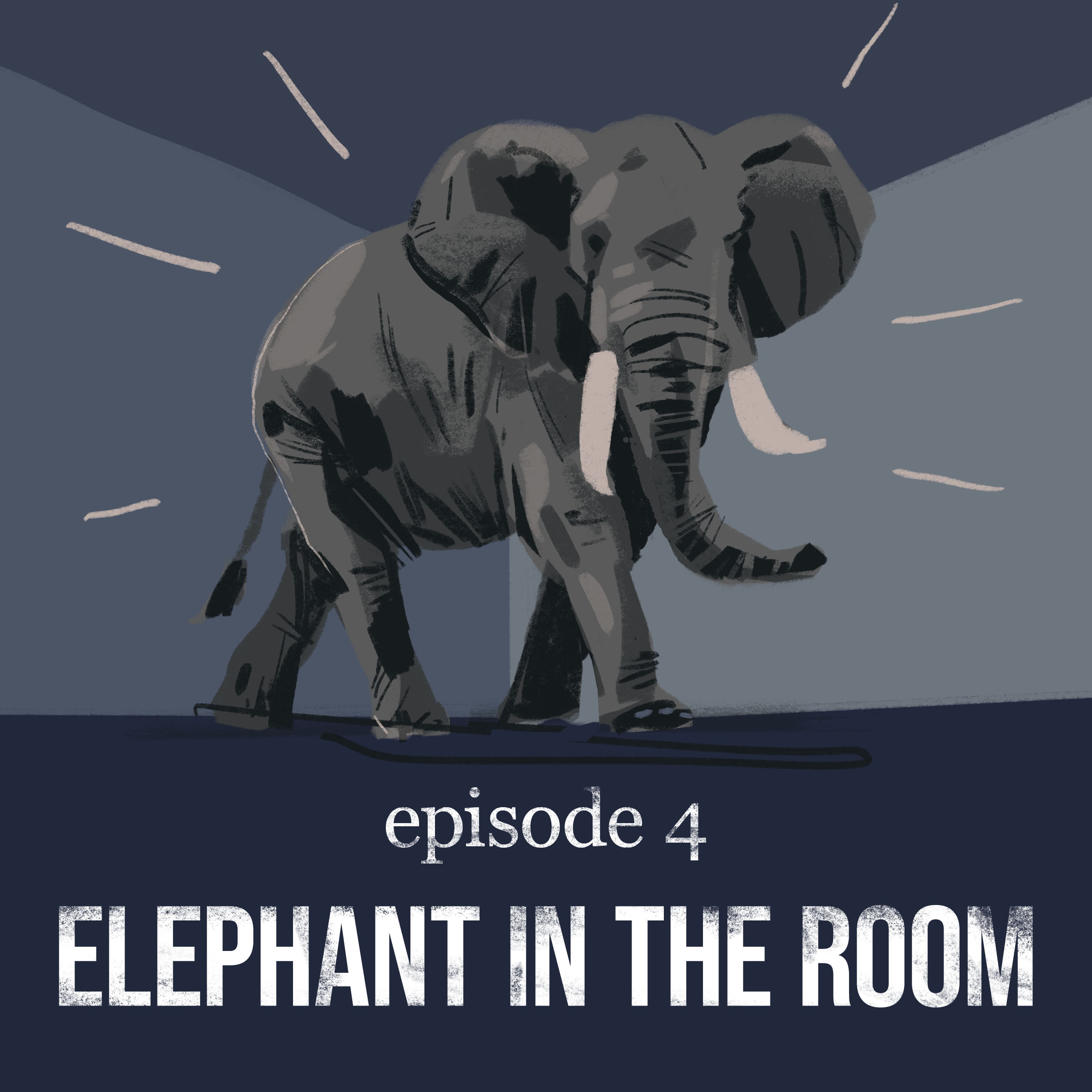  Elephant in the Room | 4 artwork