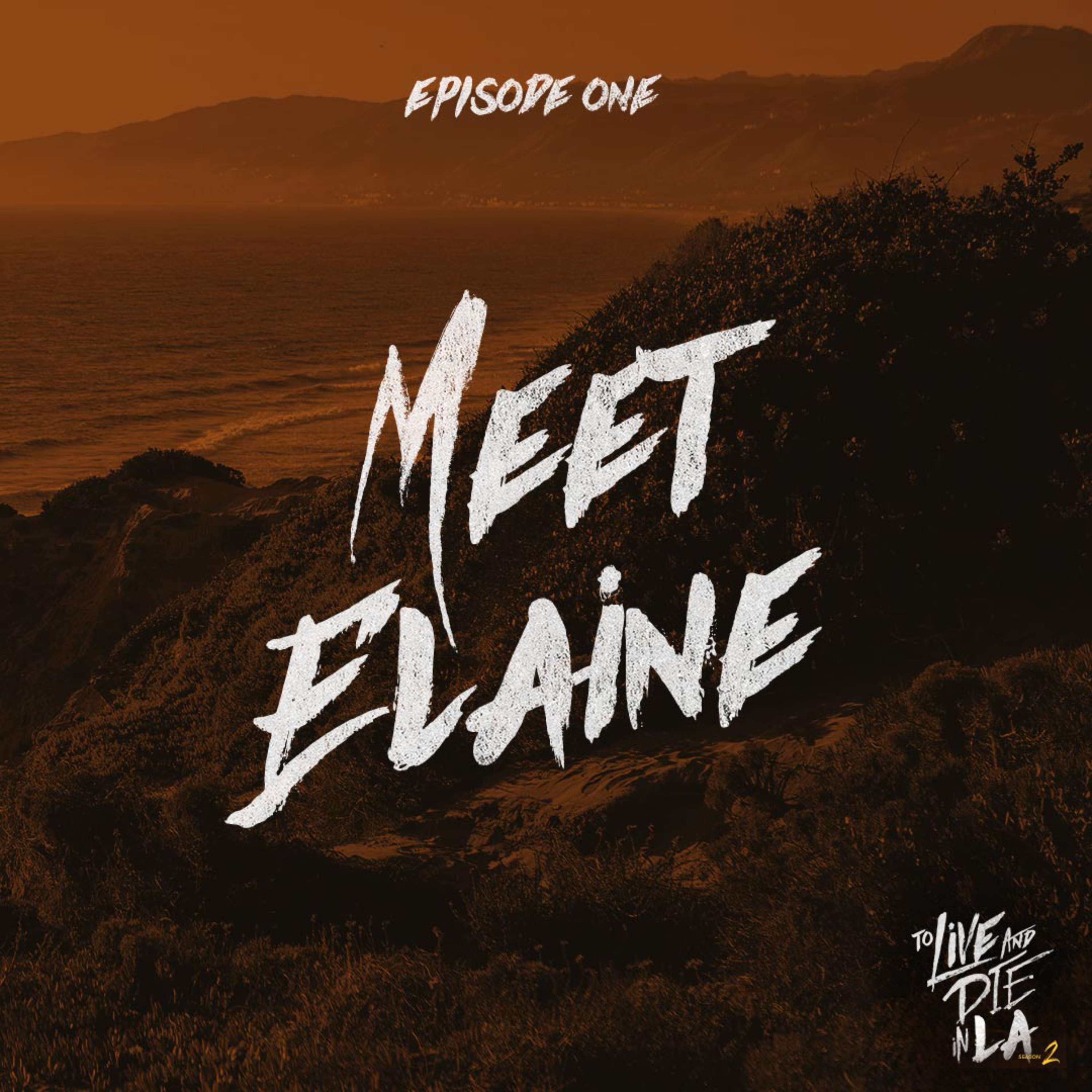 Meet Elaine [1] artwork