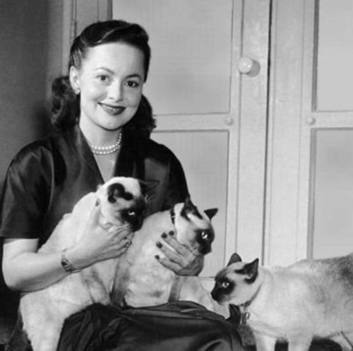 35: Star Wars Episode IX: Olivia de Havilland and John Huston, with Special Guest Rian Johnson