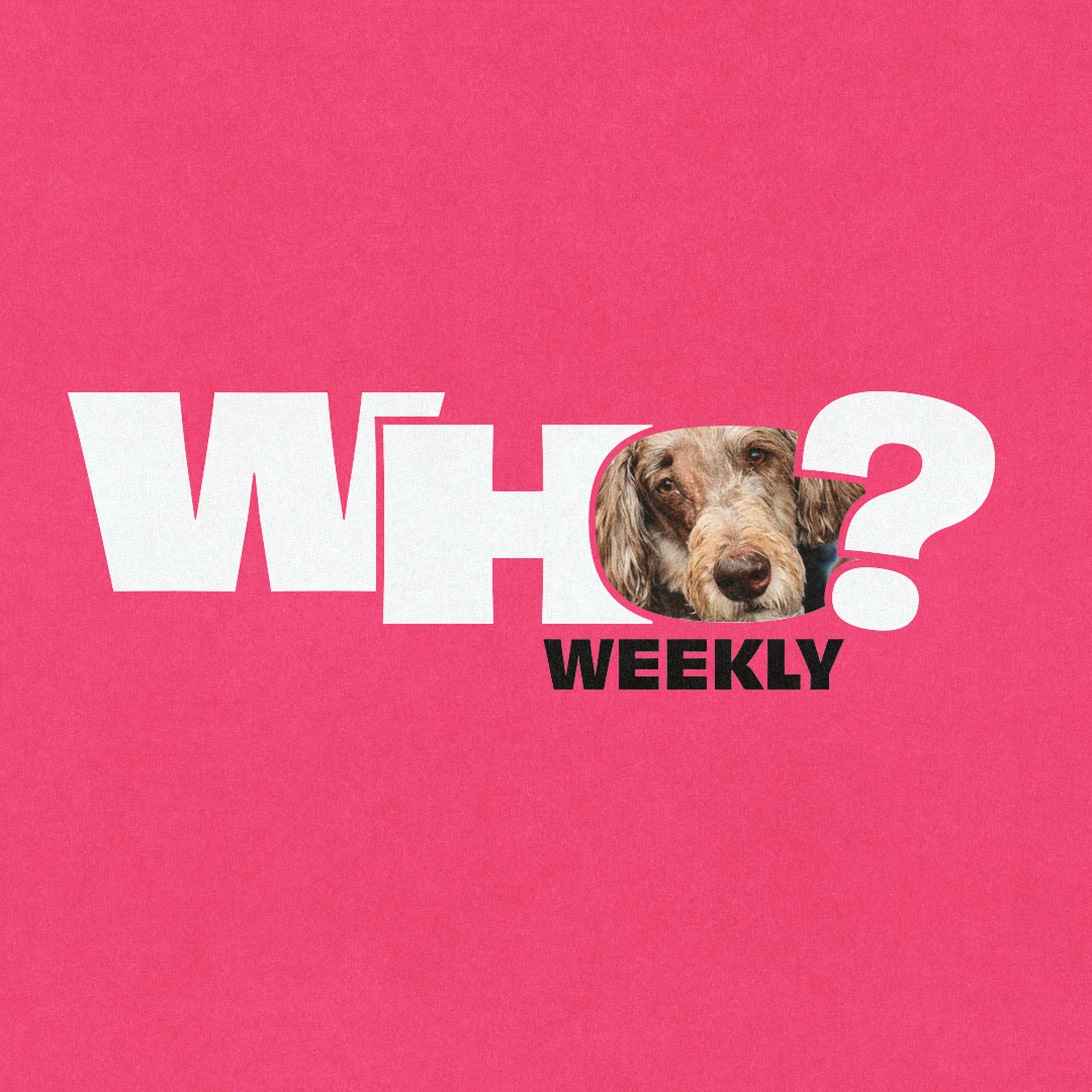 Sabrina Elba, Kygo the Man & Kygo the Dog? episode artwork
