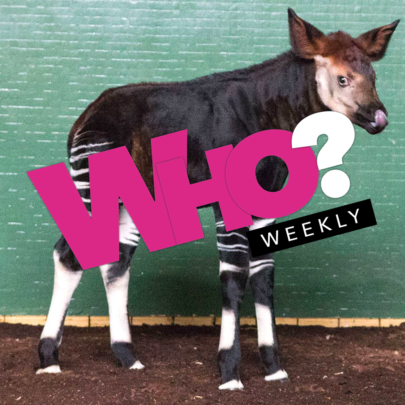 Cherry Seaborn & Meghan the Okapi? episode artwork