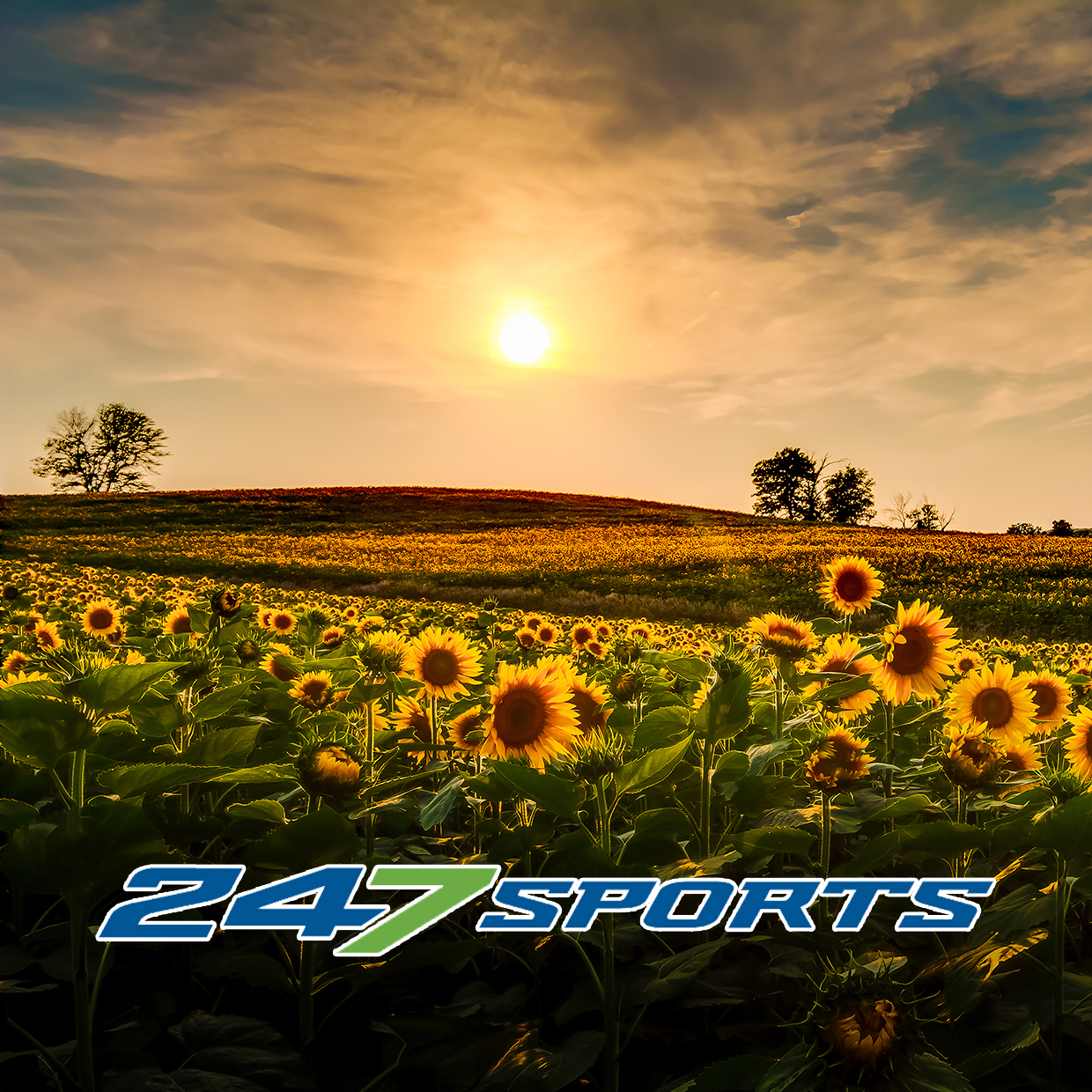 Sunflower State Recruiting Show: The latest on some of the top 2025s and Michael Boganowski episode artwork