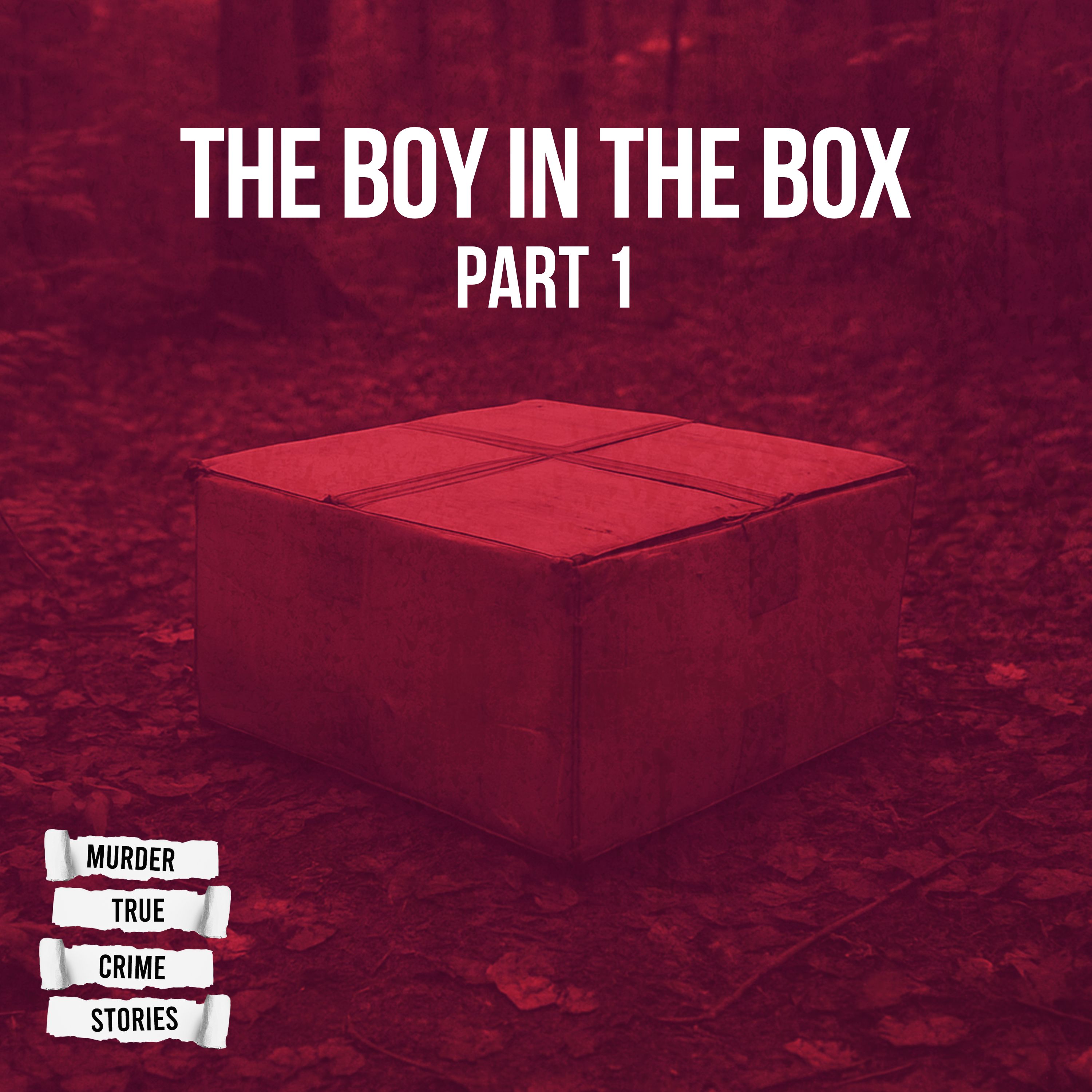 UNSOLVED: The Boy in the Box 1