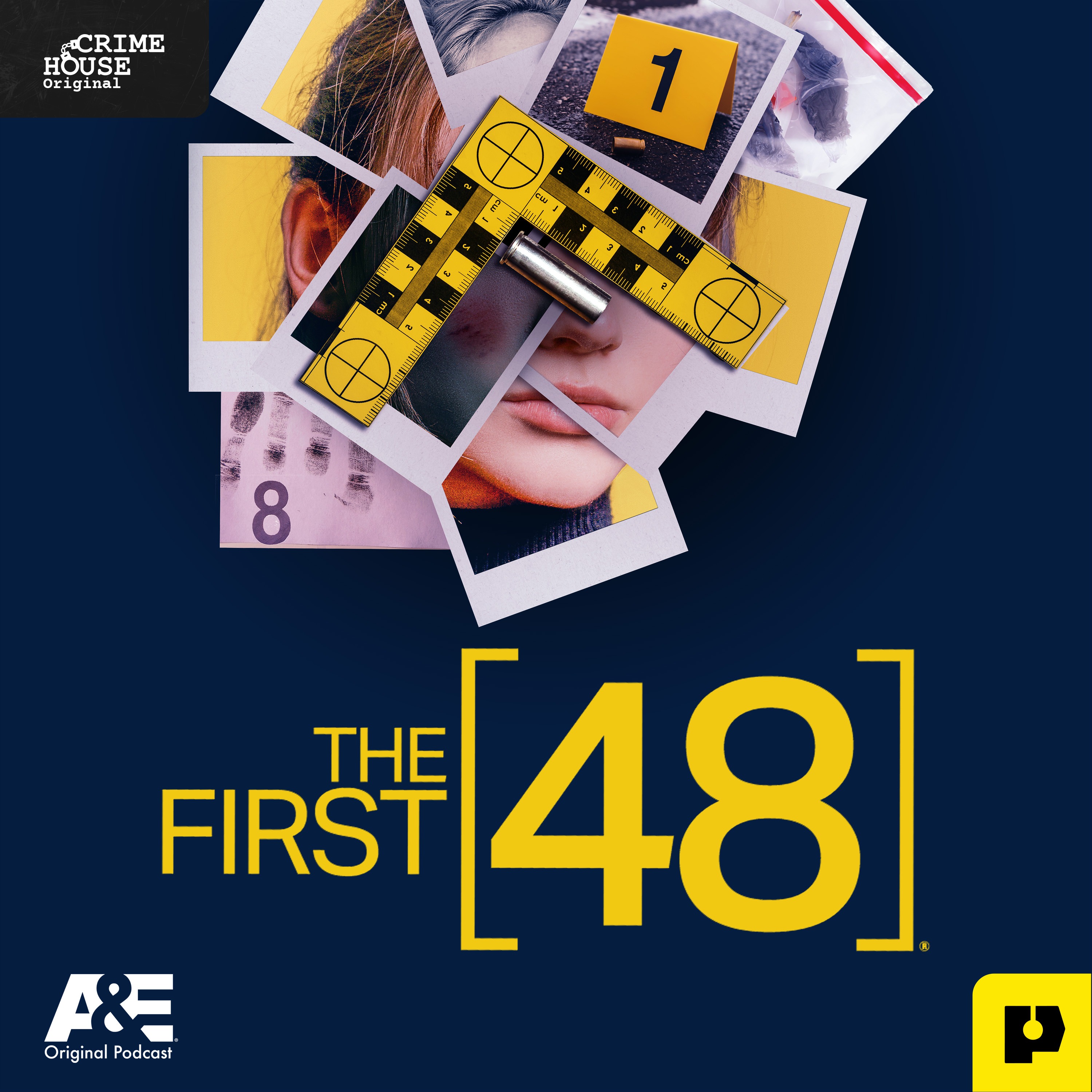 HAUNTED TAKEOVER: The First 48: Brothers Down episode artwork