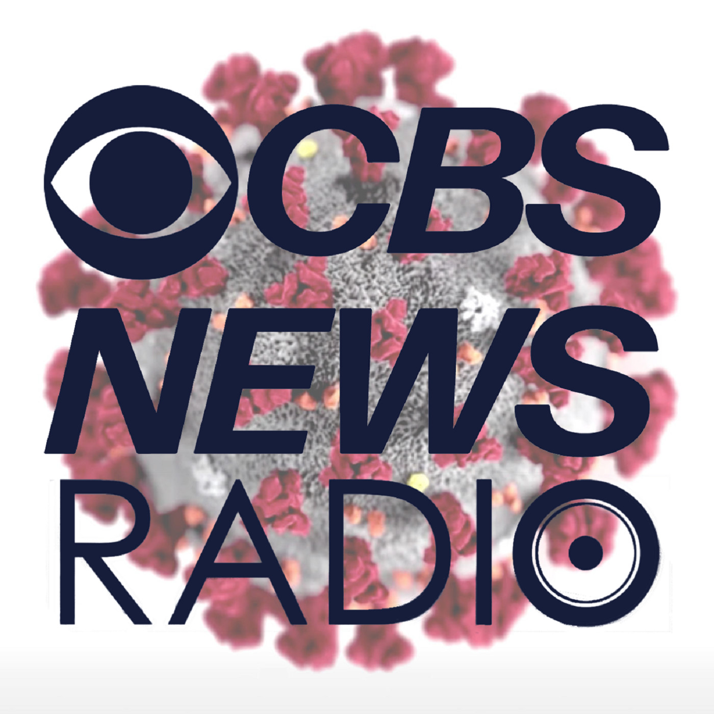 CBS News Network Specials