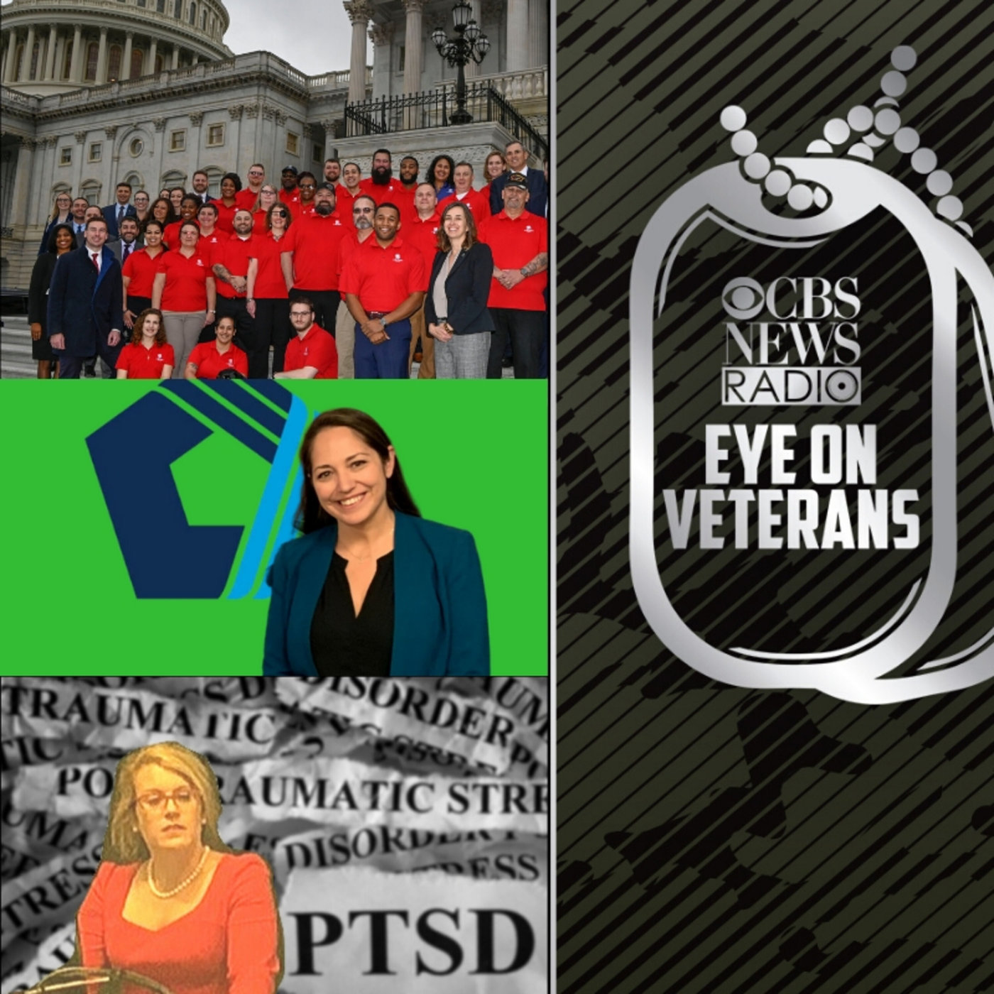How vets can start a business, Warriors on the Hill & PTSD OpEd episode artwork
