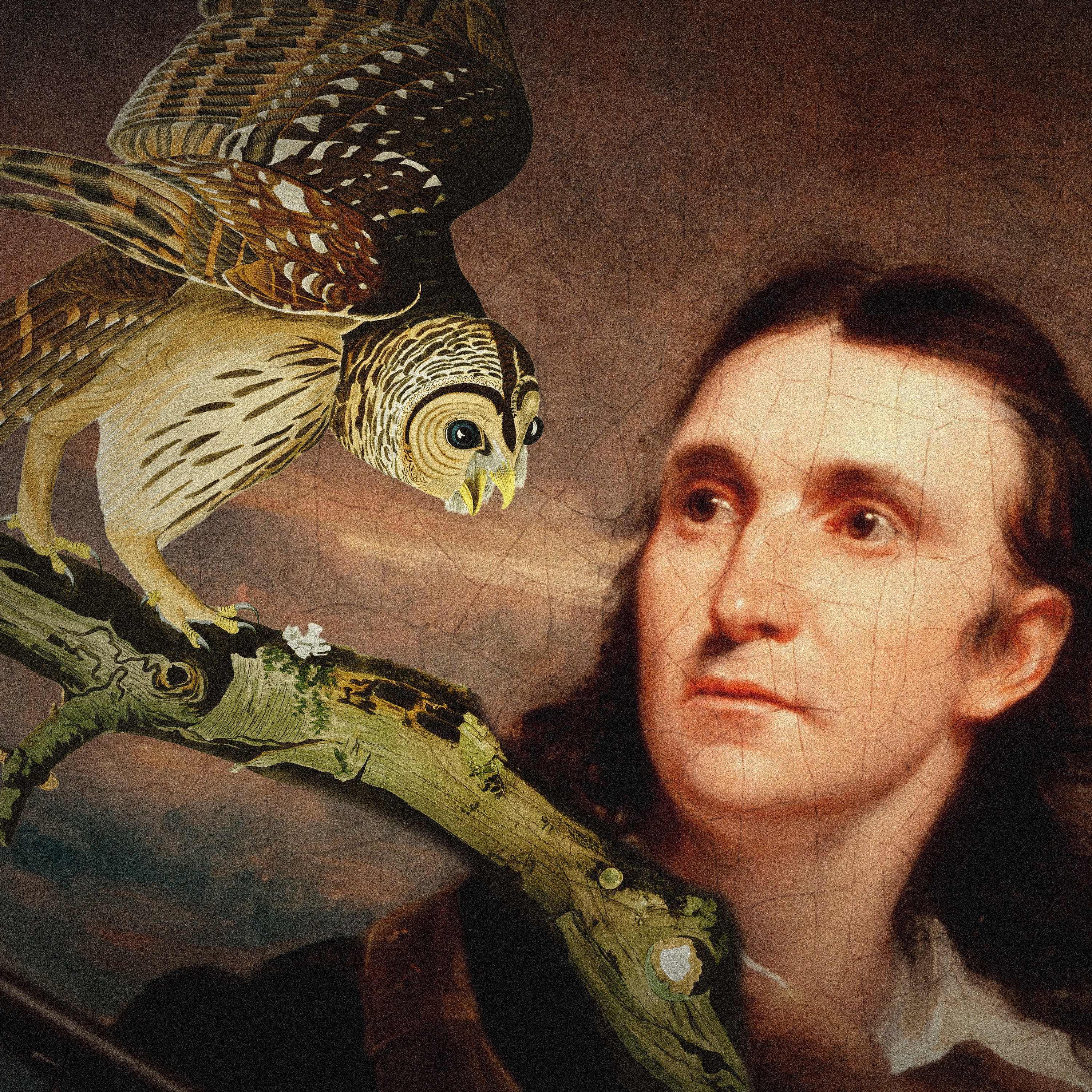 Audubon’s Birds Come Home to Roost